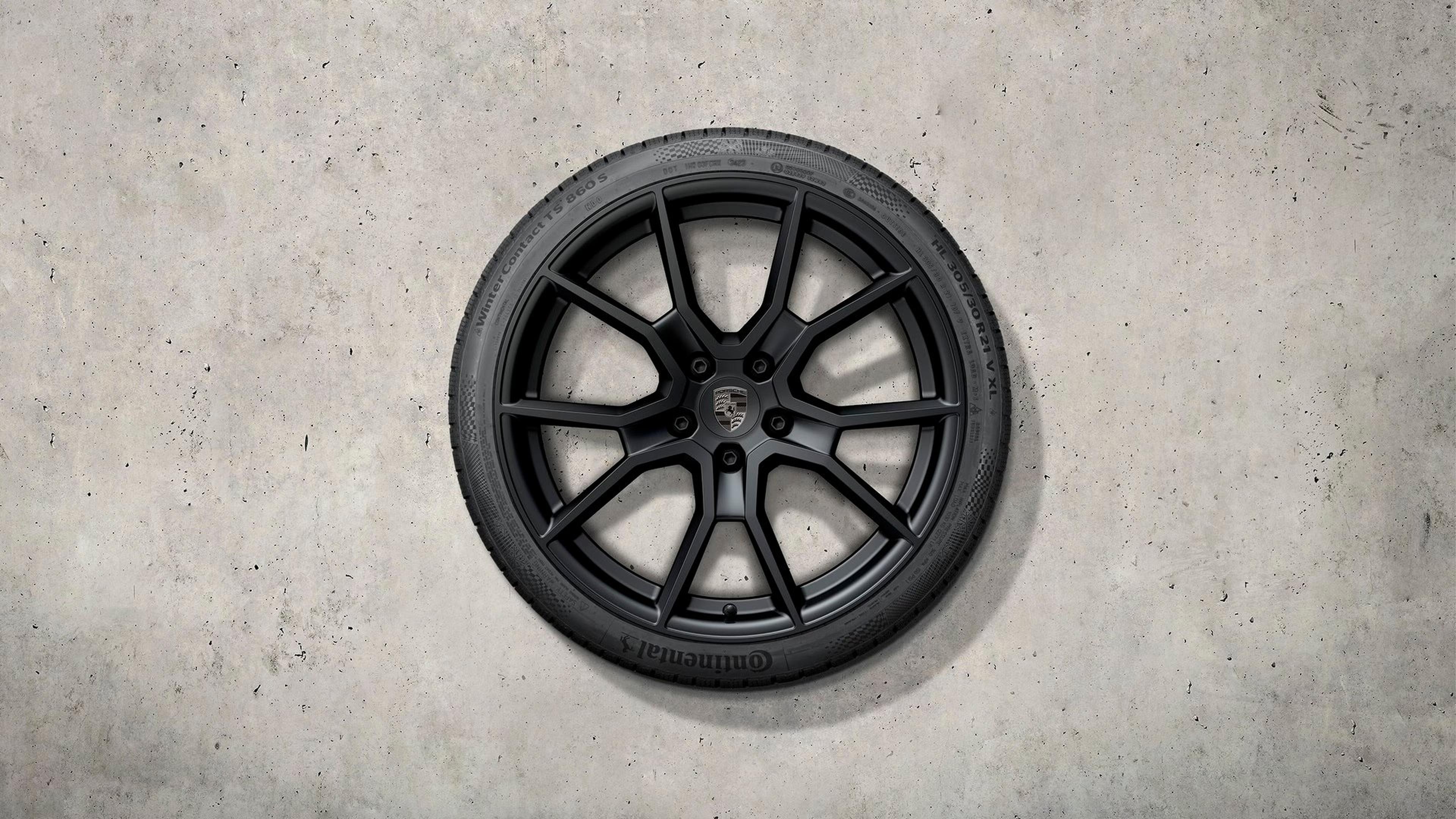 TaycanRSSPyder