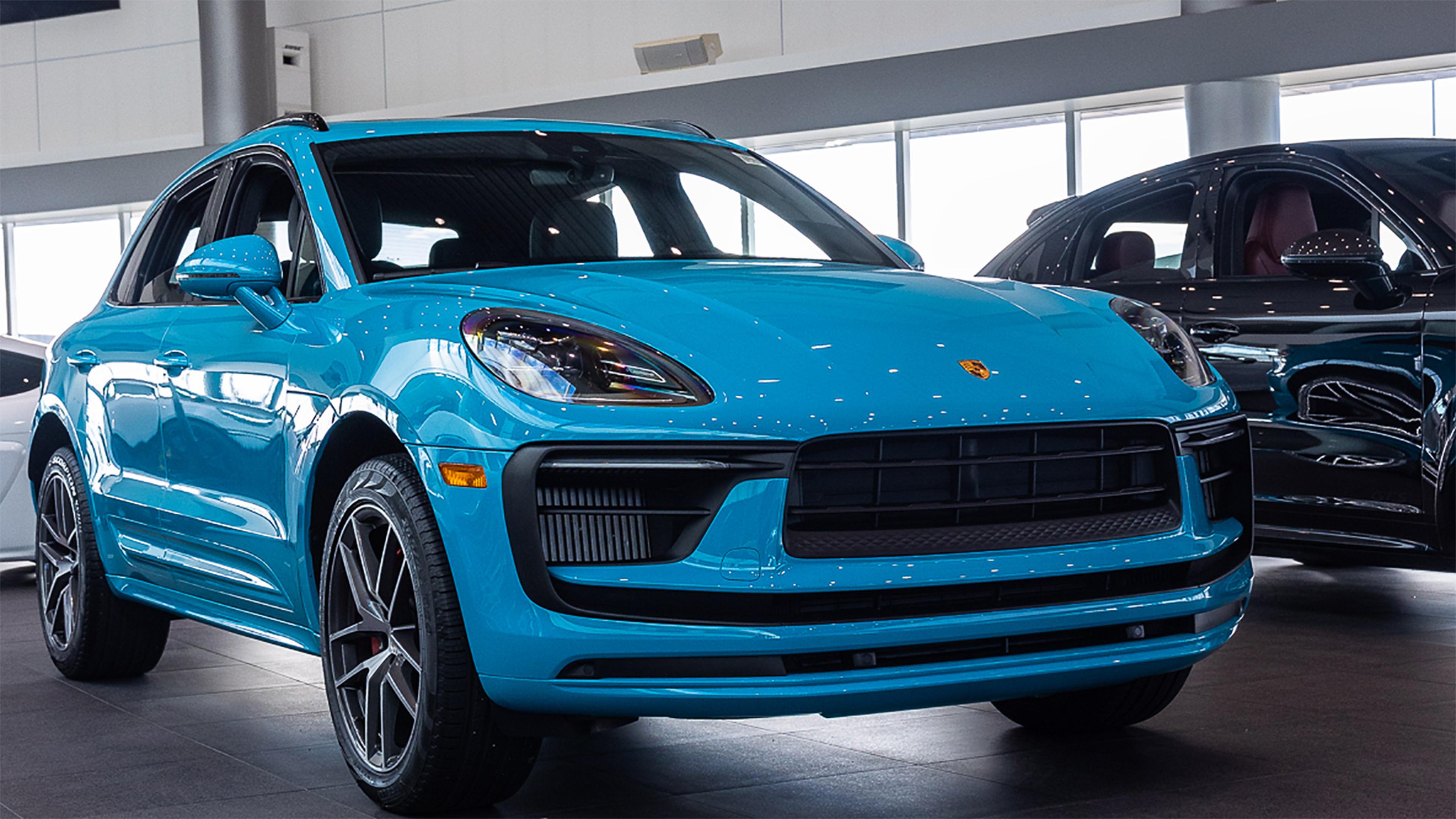 Macan Miami Blue article