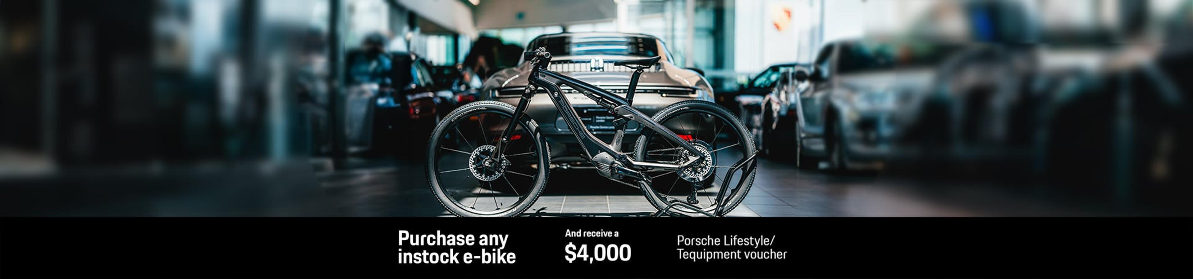 2024-e-bike-desktop