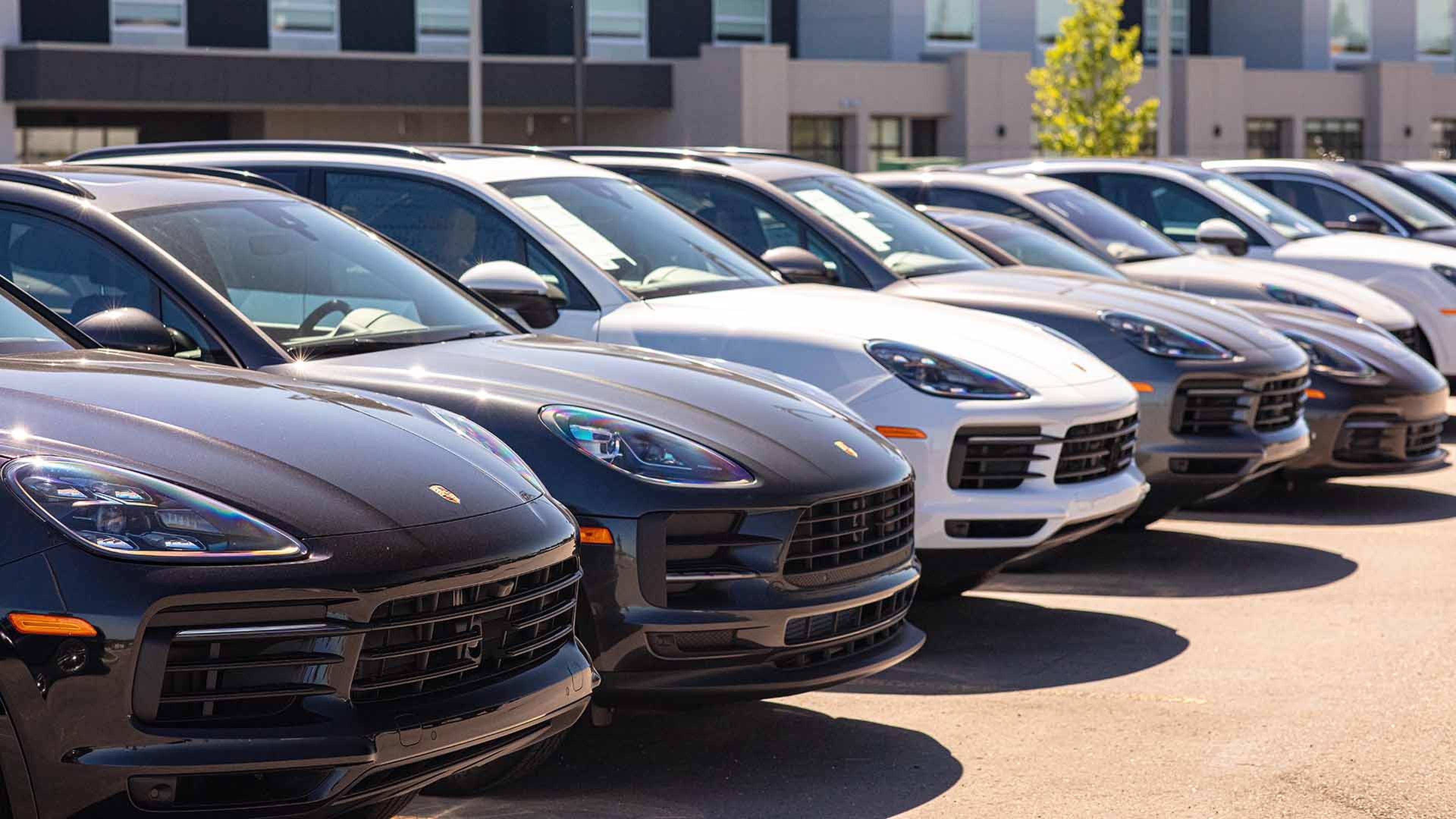 A row of identical luxury Porsche SUVs parked in a lot outside a modern building, with a mix of black and white vehicles under clear sunlight.