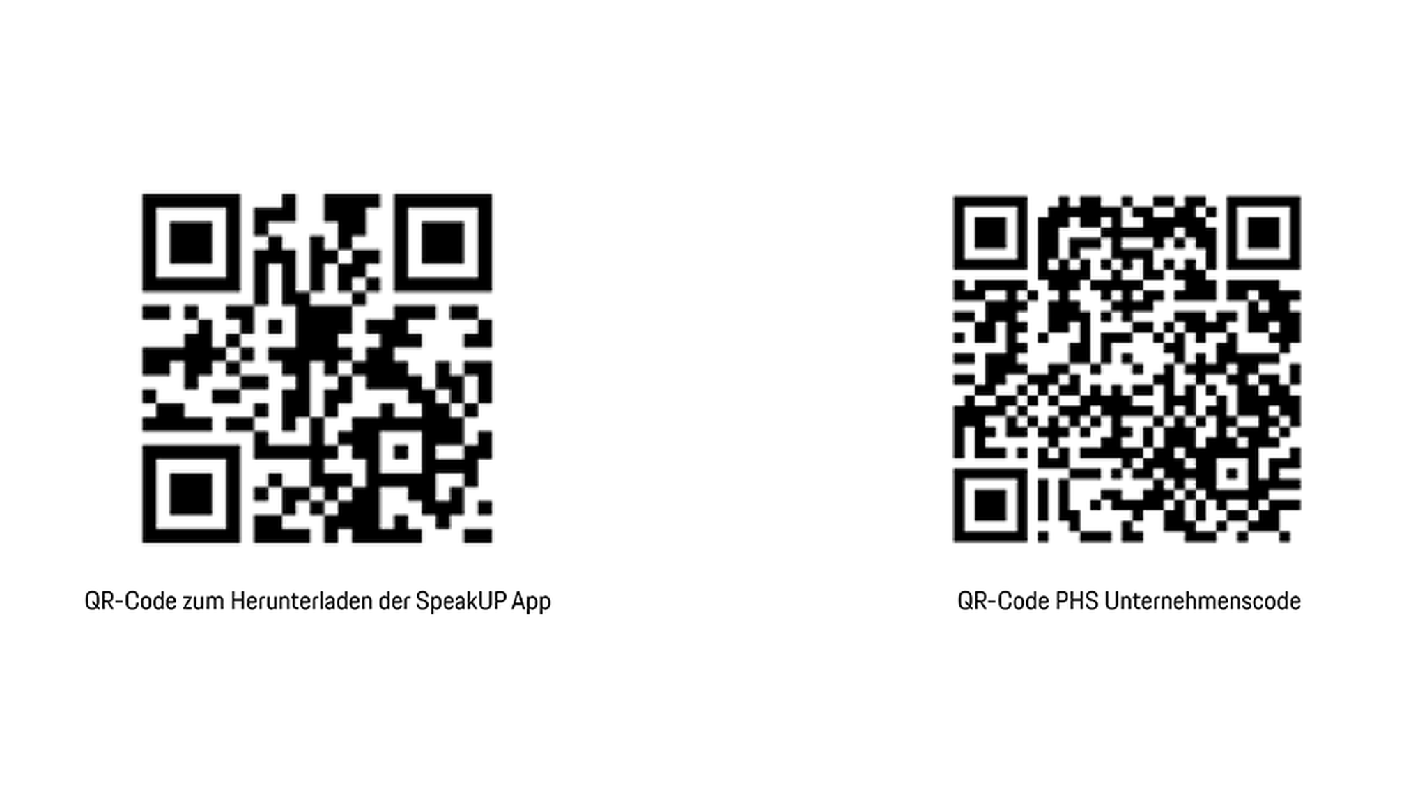 QR Codes
