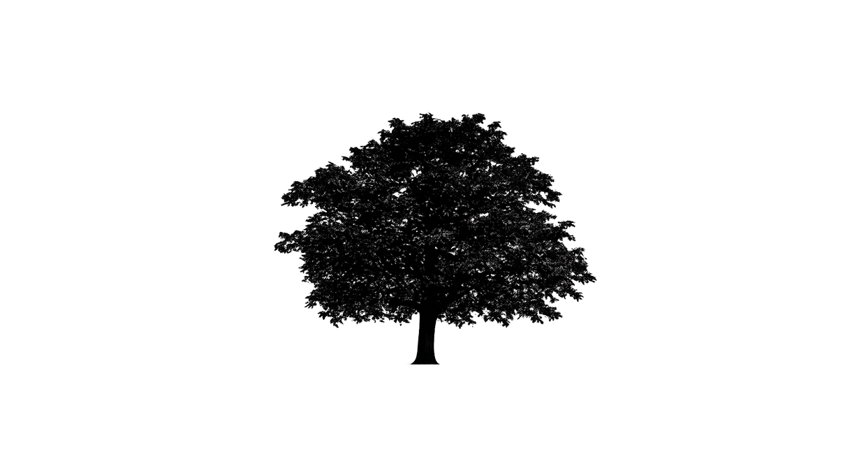 Nussbaum