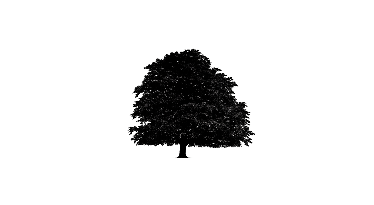 Eichenbaum