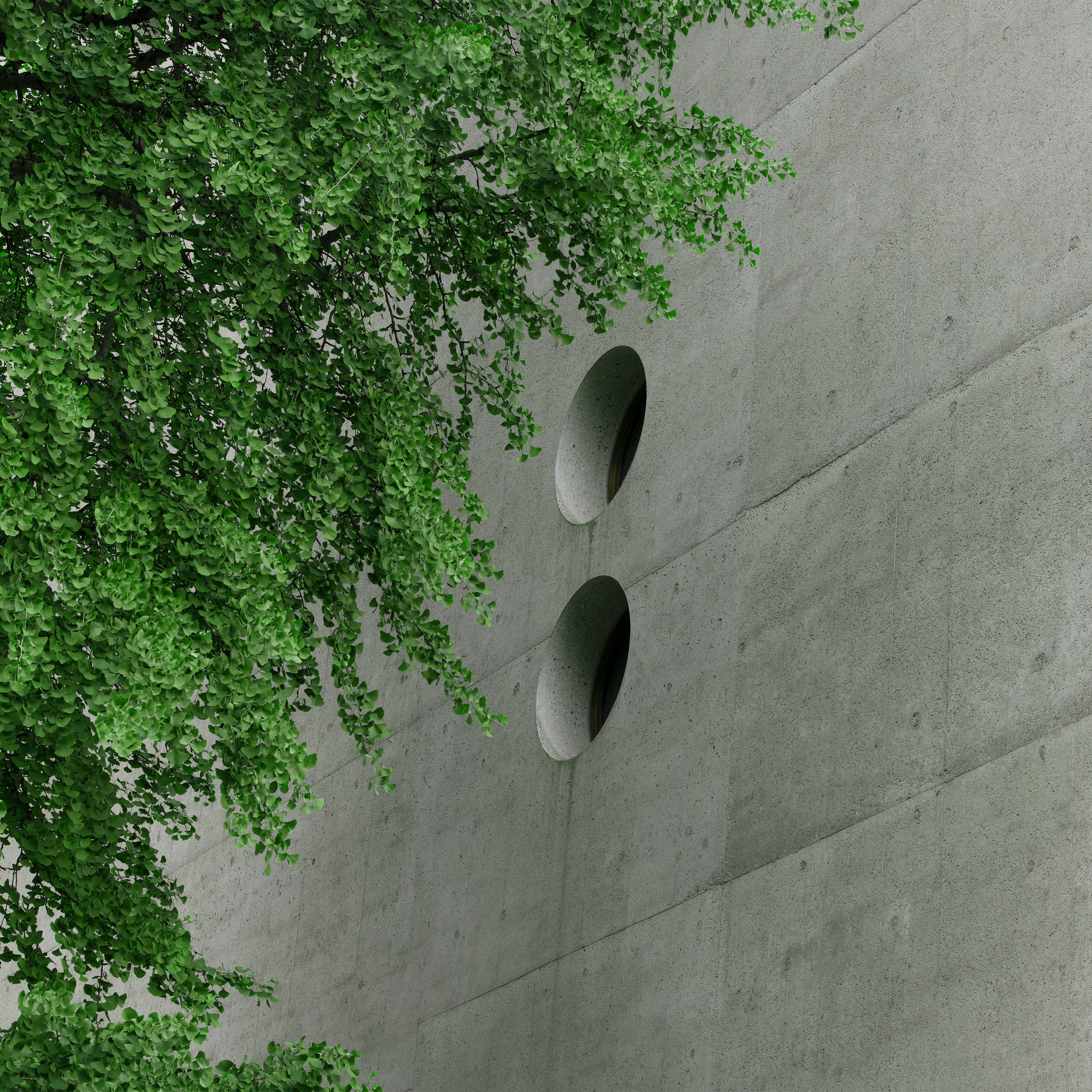 Berichte & Zertifikate