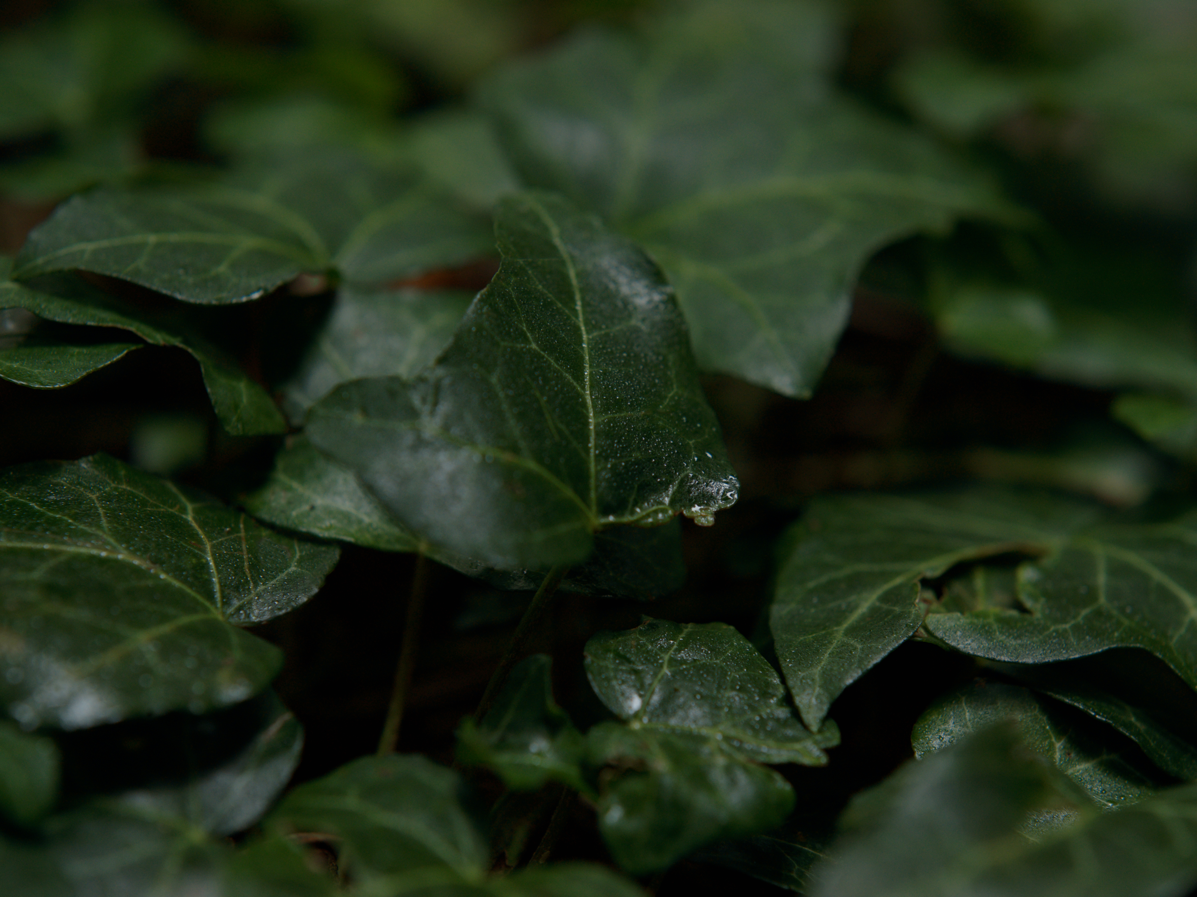 Nachhaltig und Wohngesund