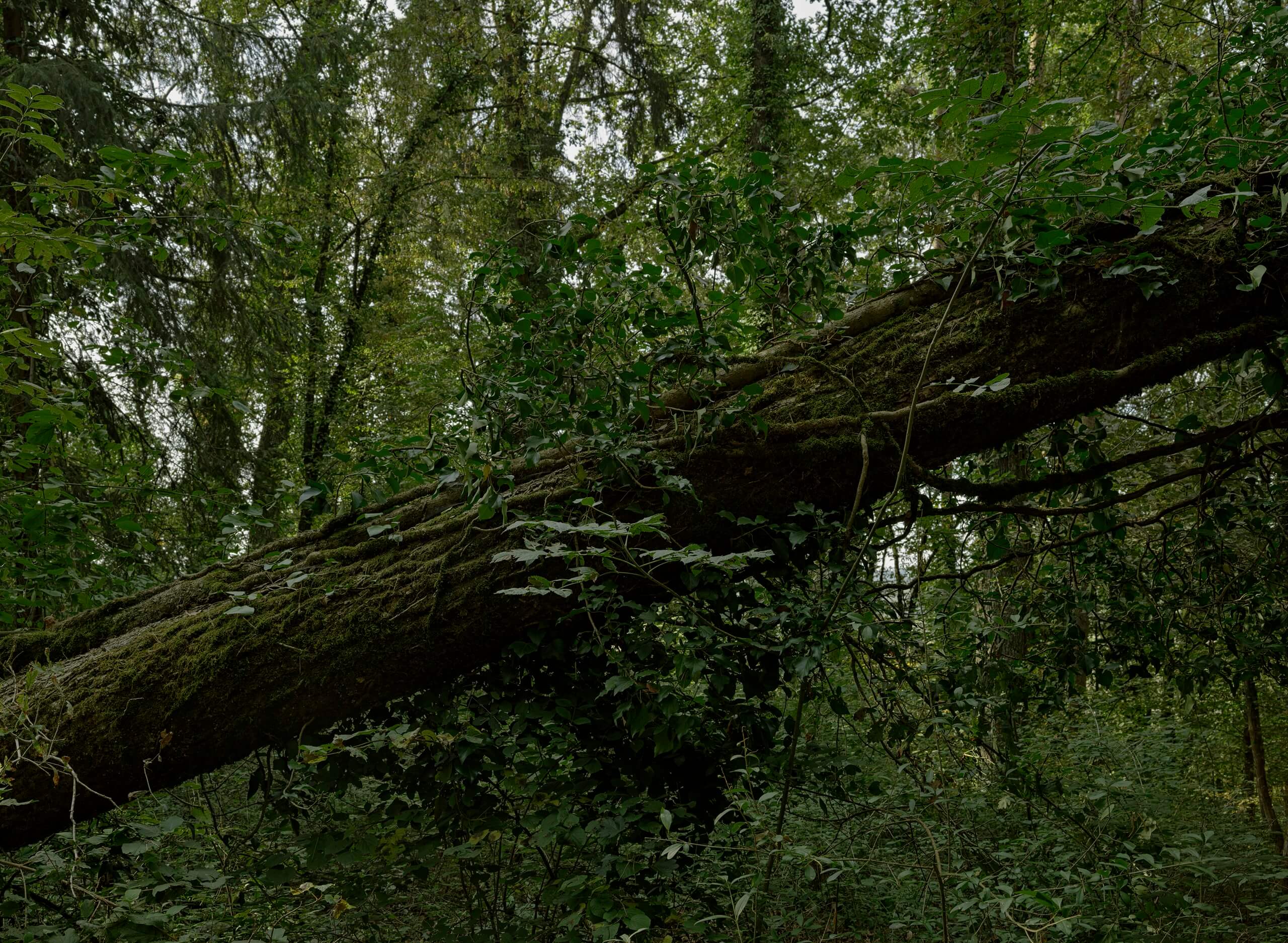 Nachhaltigkeitsbericht