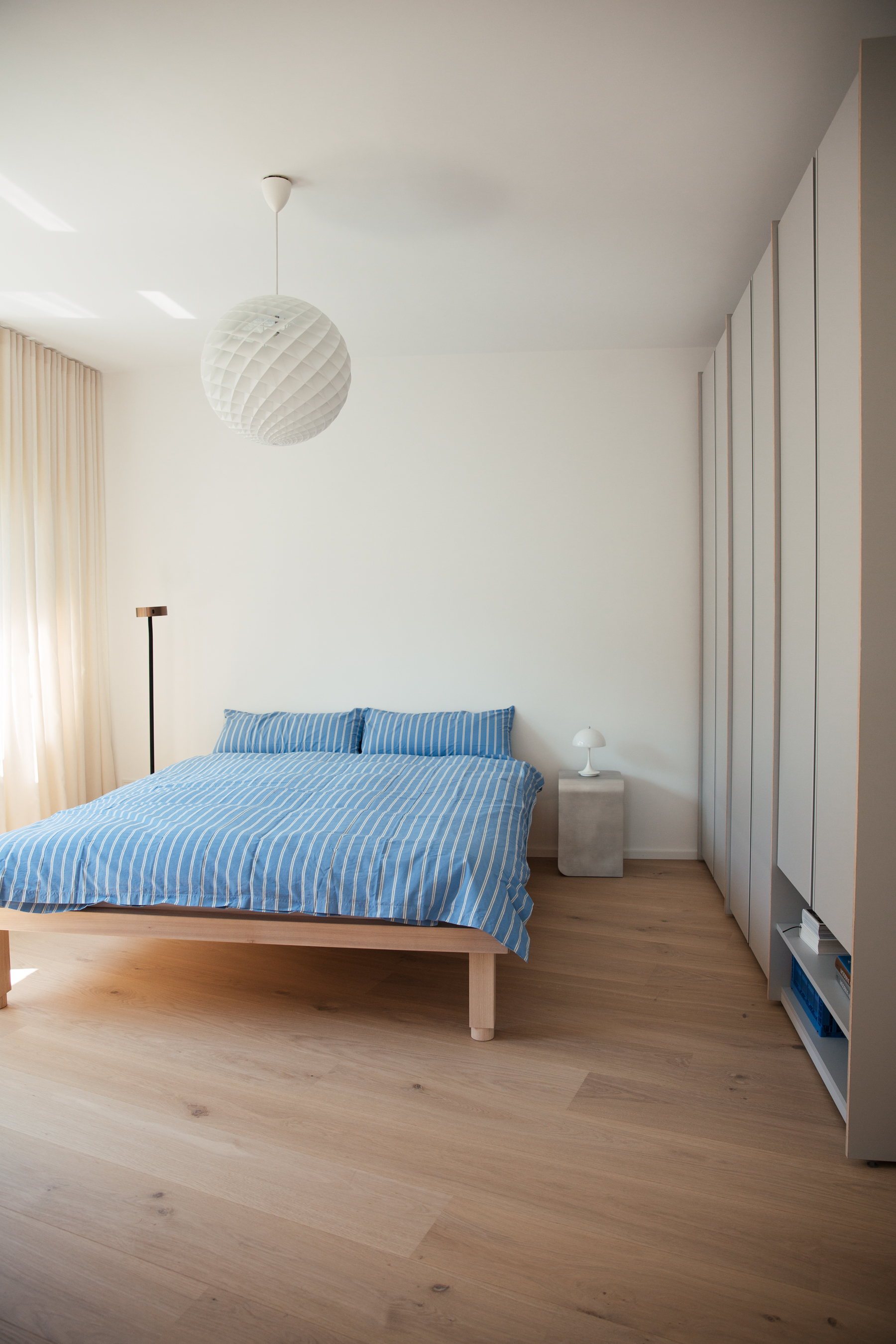 Oak Transparent Animoso