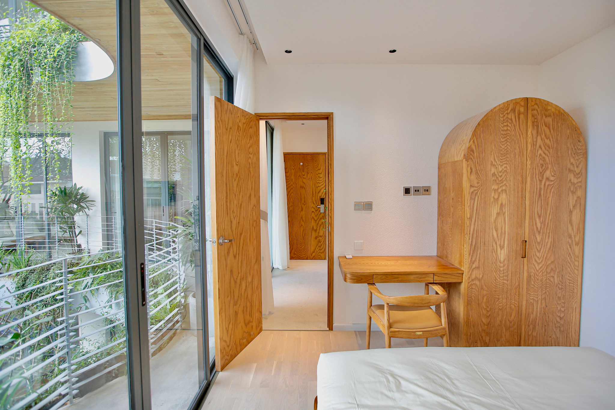 Oak Transparent Animoso