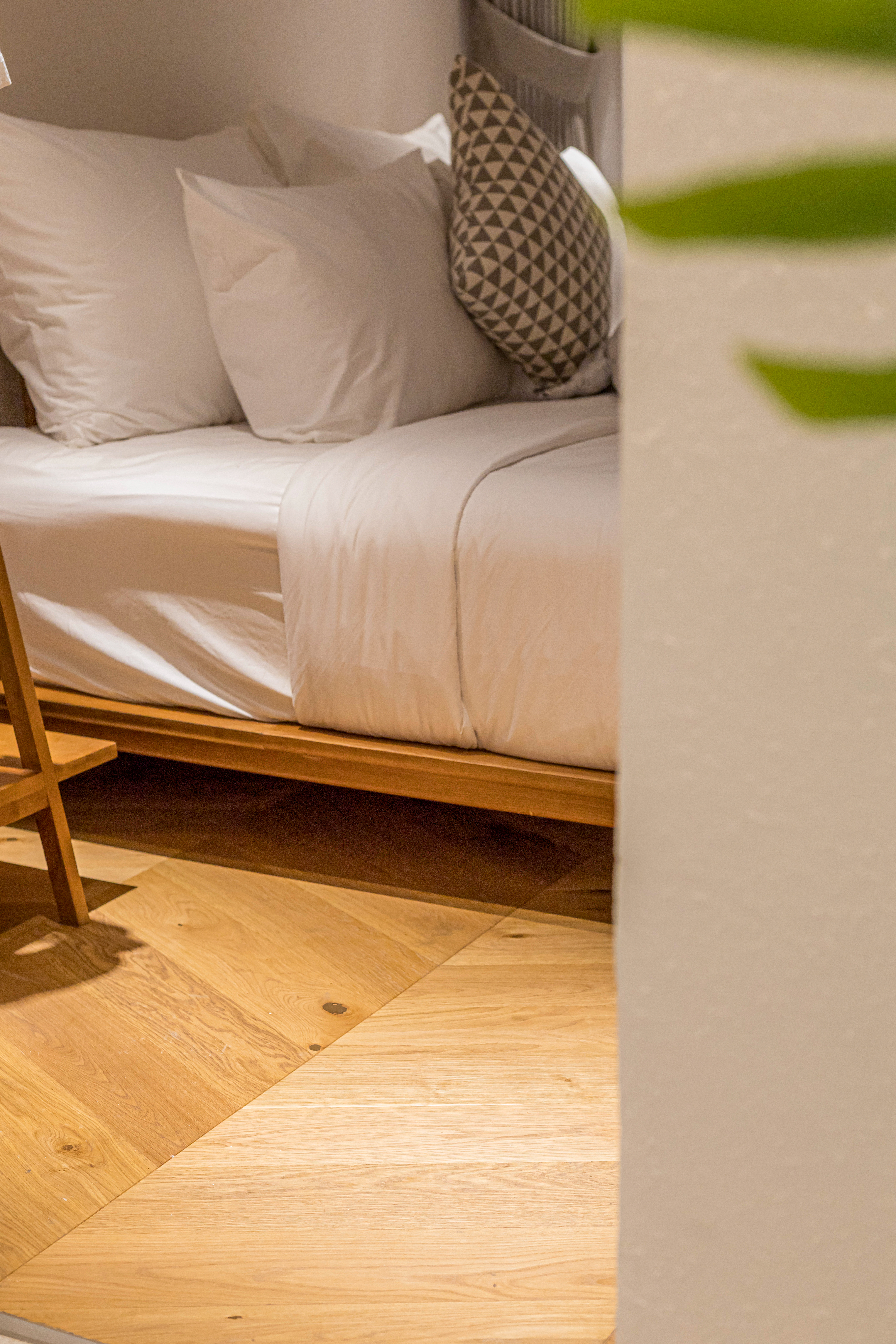 Oak Transparent Animoso