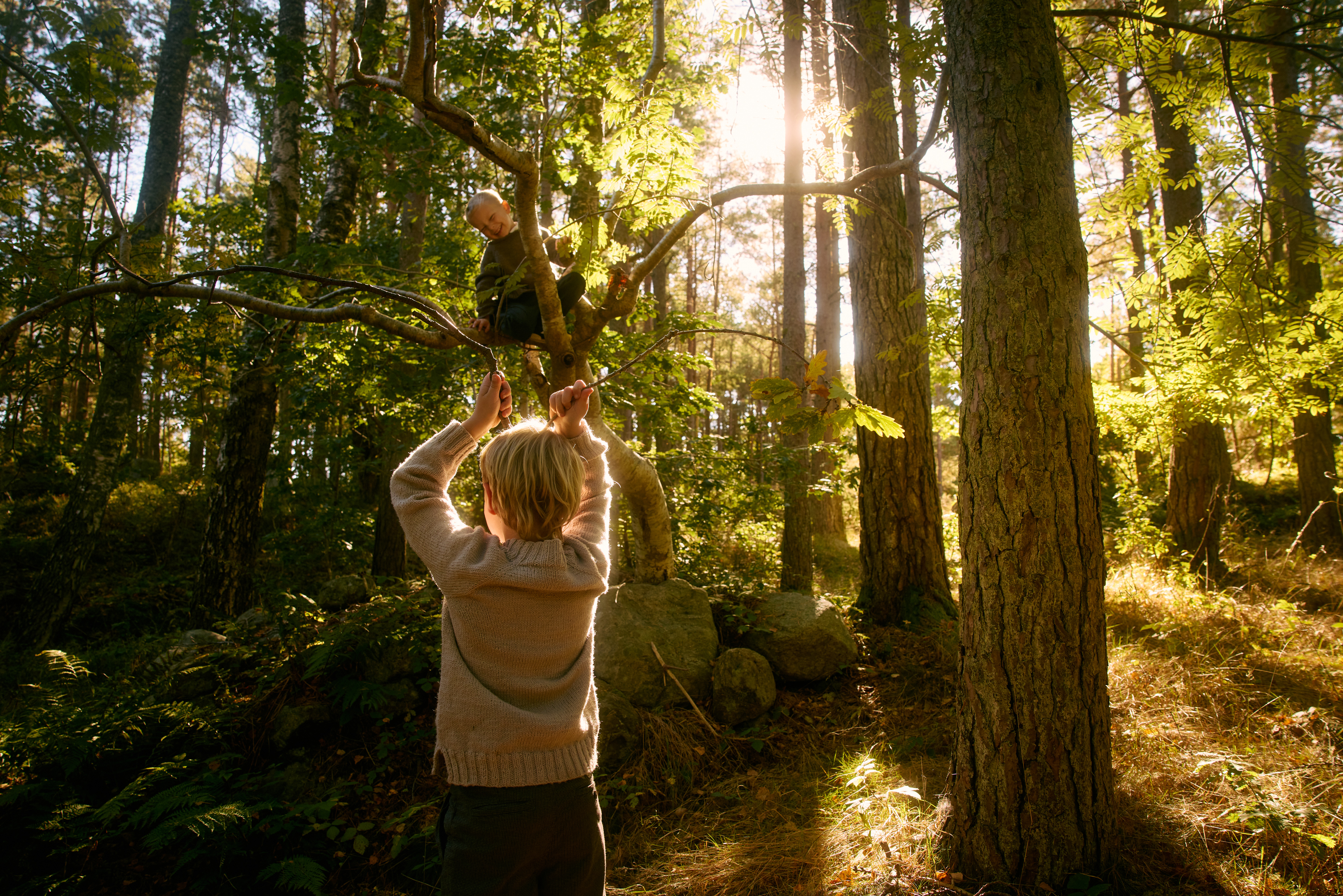 Children playing in the forest