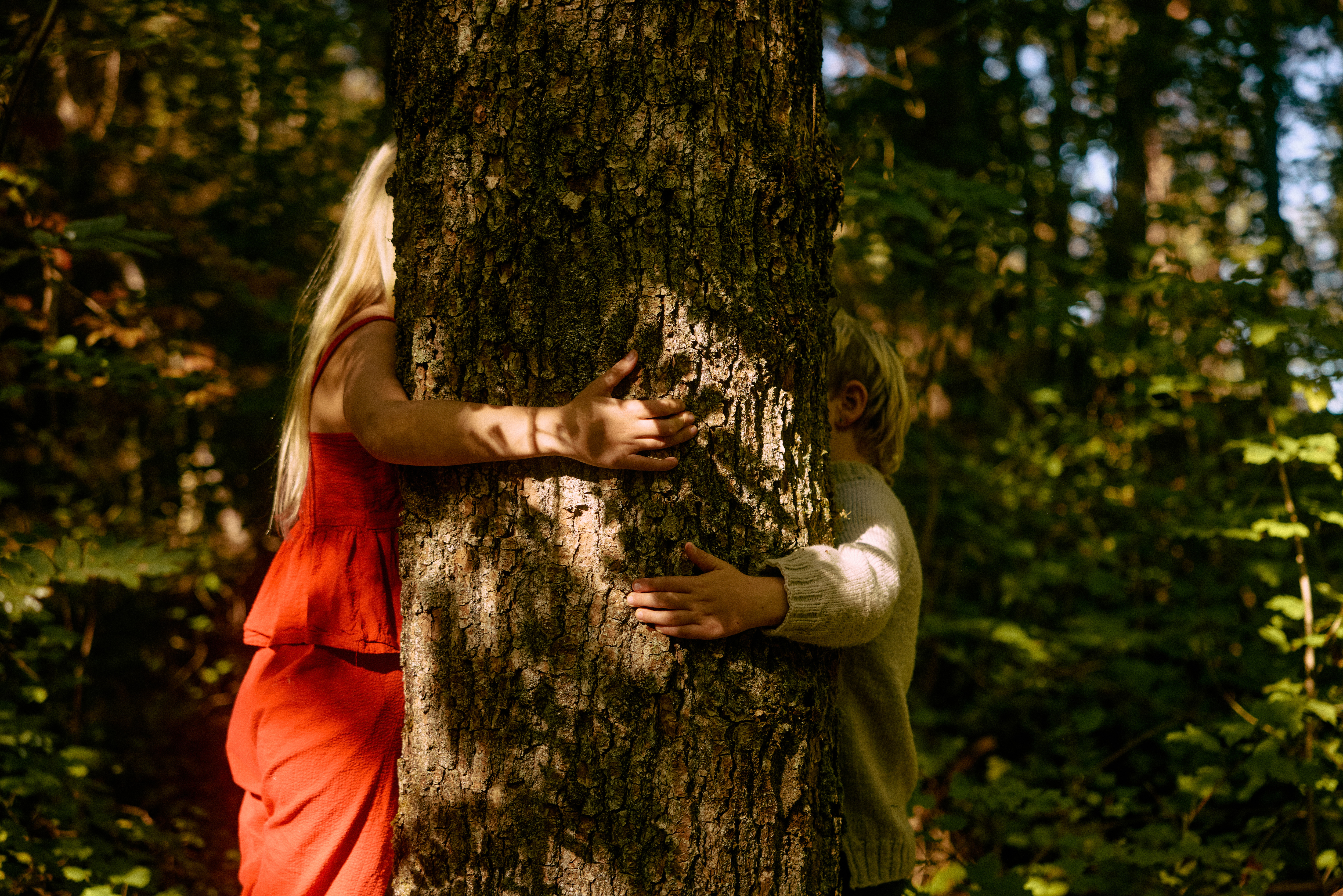 Children gathered around a tree
