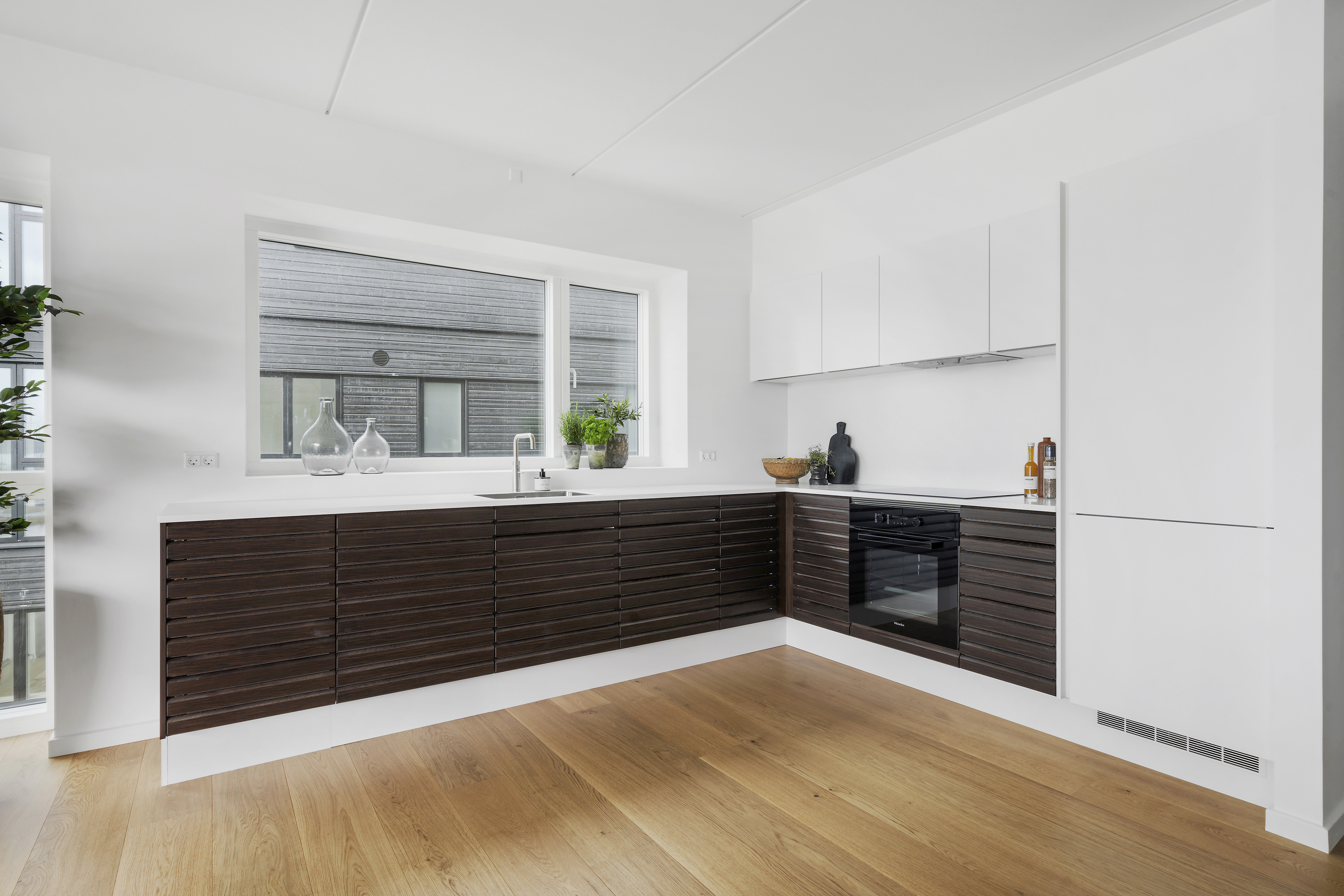 Oak Transparent Animoso in the kitchen