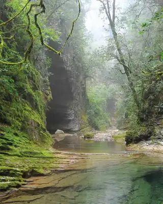 "Serene moss-covered gorge with clear water stream and Scott Bader logo, showcasing natural environments where composites are applied" [G]