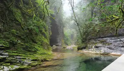 "Serene moss-covered gorge with clear water stream and Scott Bader logo, showcasing natural environments where composites are applied" [G]