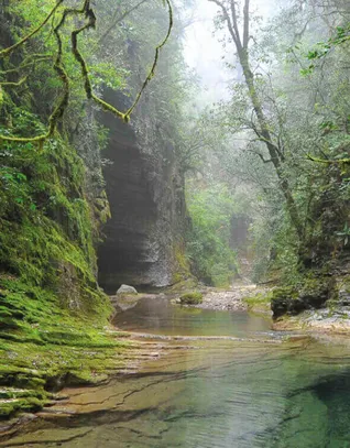 World Land Trust