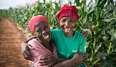 "Two agricultural workers smiling in a cornfield, standing along a dirt path with tall maize crops growing in the background." [G]