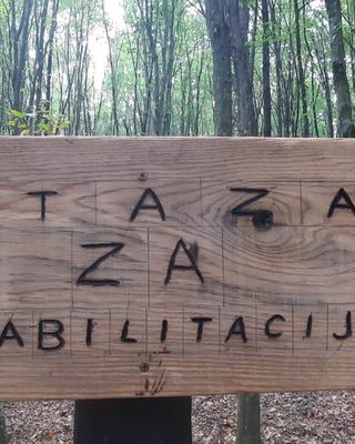 "Wooden sign in forest reading 'STAZA ZA REHABILITACIJU' surrounded by tall trees in a natural woodland setting" [G]