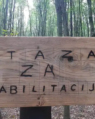 "Wooden sign in forest reading 'STAZA ZA REHABILITACIJU' surrounded by tall trees in a natural woodland setting" [G]