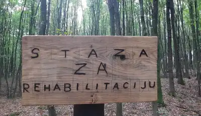 "Wooden sign in forest reading 'STAZA ZA REHABILITACIJU' surrounded by tall trees in a natural woodland setting" [G]