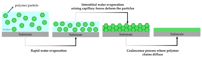Diagram of polymer film formation via water evaporation, Scott Bader resins for coatings and composites [G]