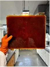 Cured composite panel sample held in lab, showcasing Scott Bader resins for high-performance composite manufacturing. [G]