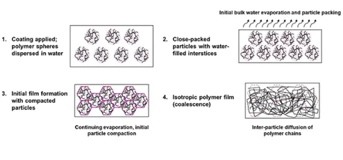 Diagram of polymer film formation stages, illustrating resin coalescence in Scott Bader resins and coatings. [G]
