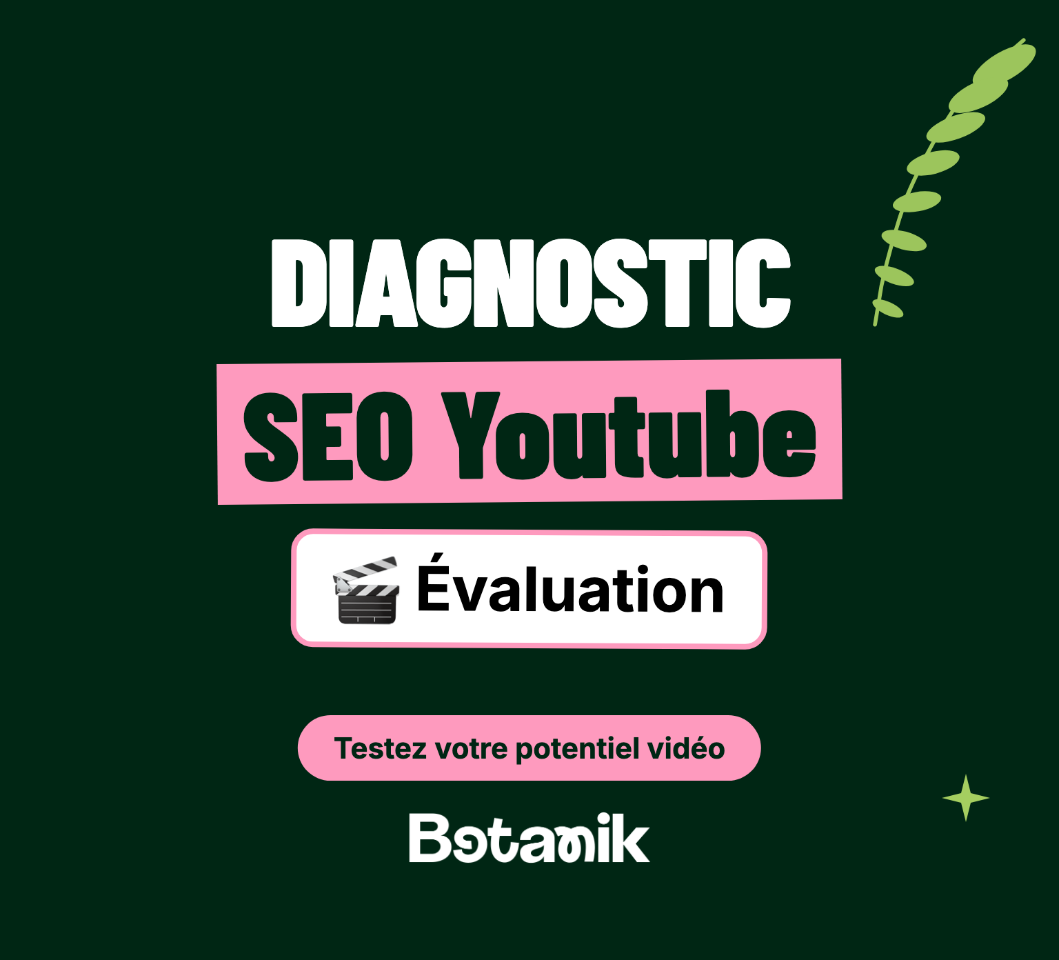 Diagnostic SEO Youtube - Évaluation référencement vidéo