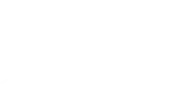 Logo 31
