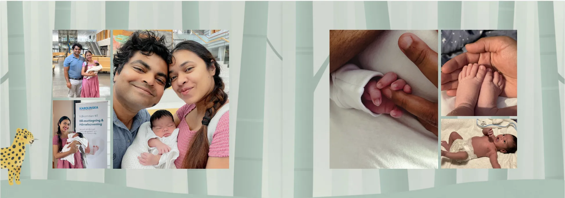 Collage von Eltern mit einem Neugeborenen, Baby, das Finger hält, und Nahaufnahmen von winzigen Füßen und Händen. Im Hintergrund ist eine Giraffenillustration zu sehen.