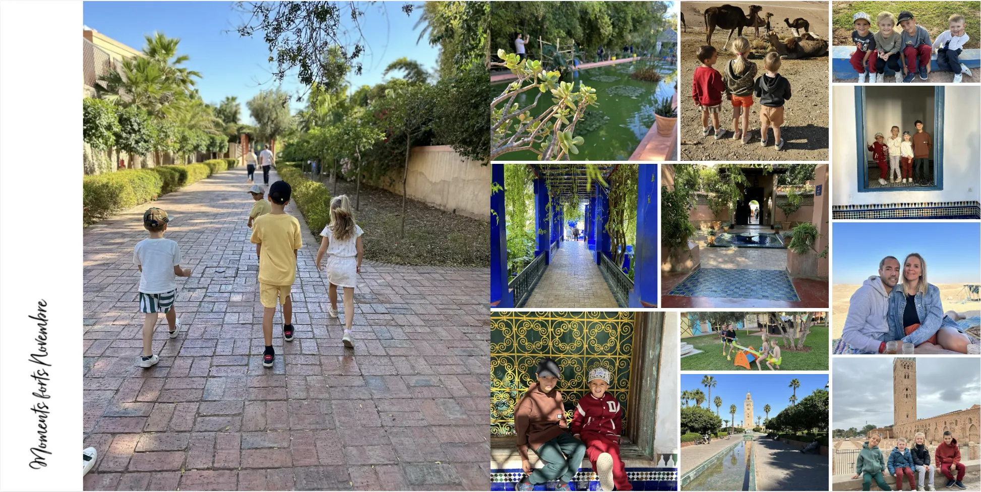 Collage von Kindern, die Gärten erkunden, auf gepflasterten Wegen spazieren gehen und neben Springbrunnen posieren; dazu kommen Begegnungen mit Familien und Tieren.