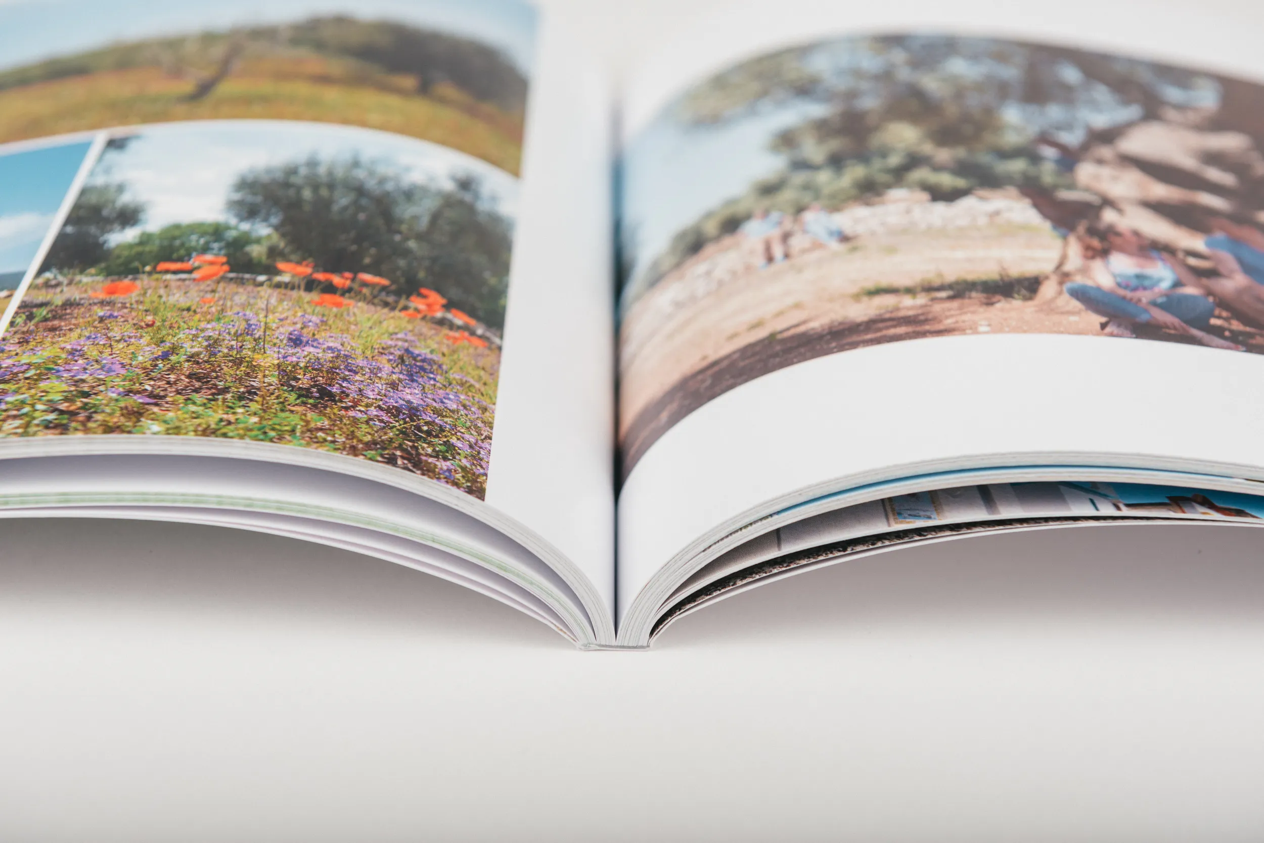Offenes Buch mit bunten Naturfotografien auf glänzenden Seiten, mit Feldern und Bäumen, auf einer weißen Fläche platziert.
