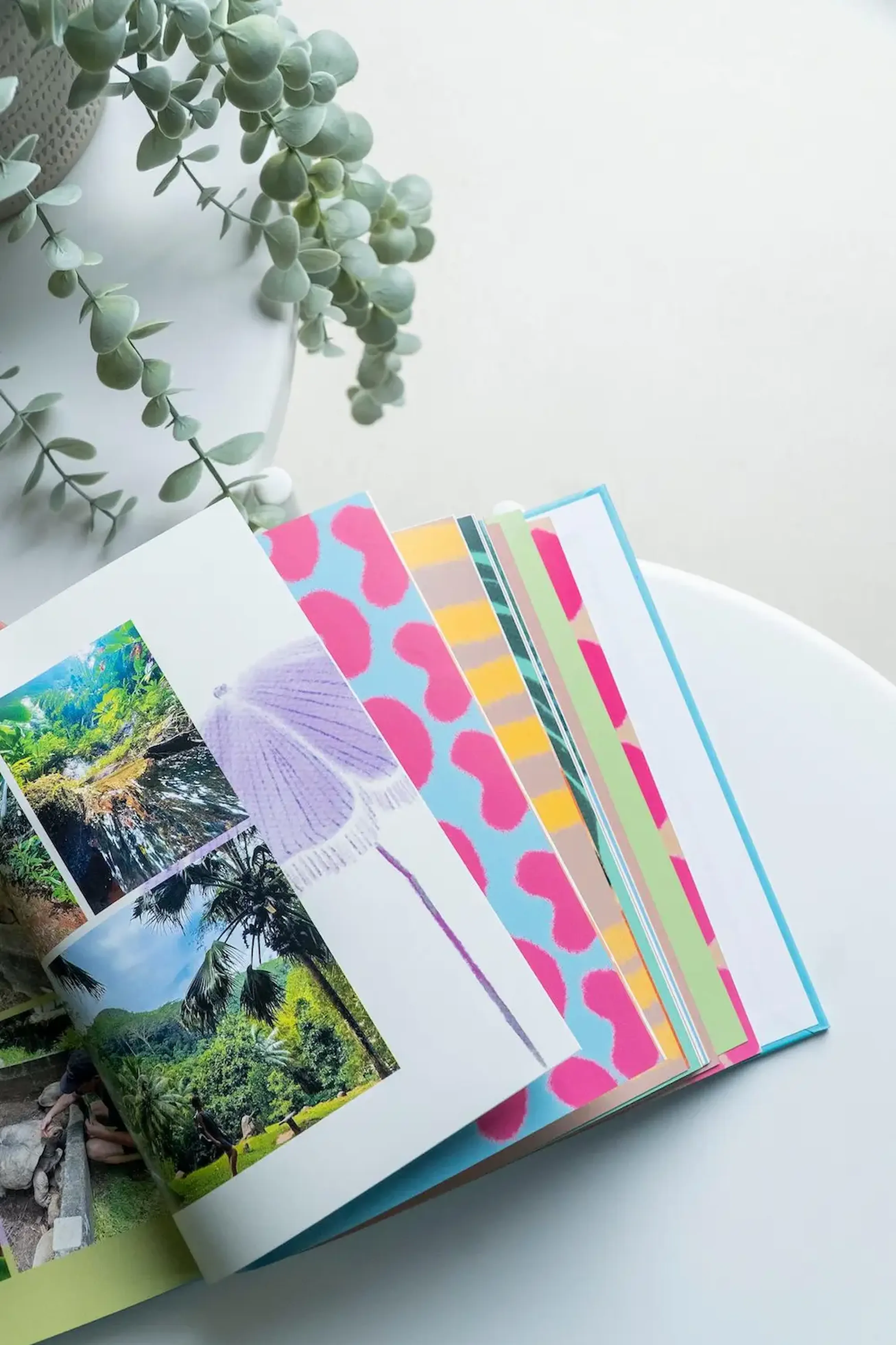 Open photo book with colorful pages and nature images on a white table, next to a green leafy plant.