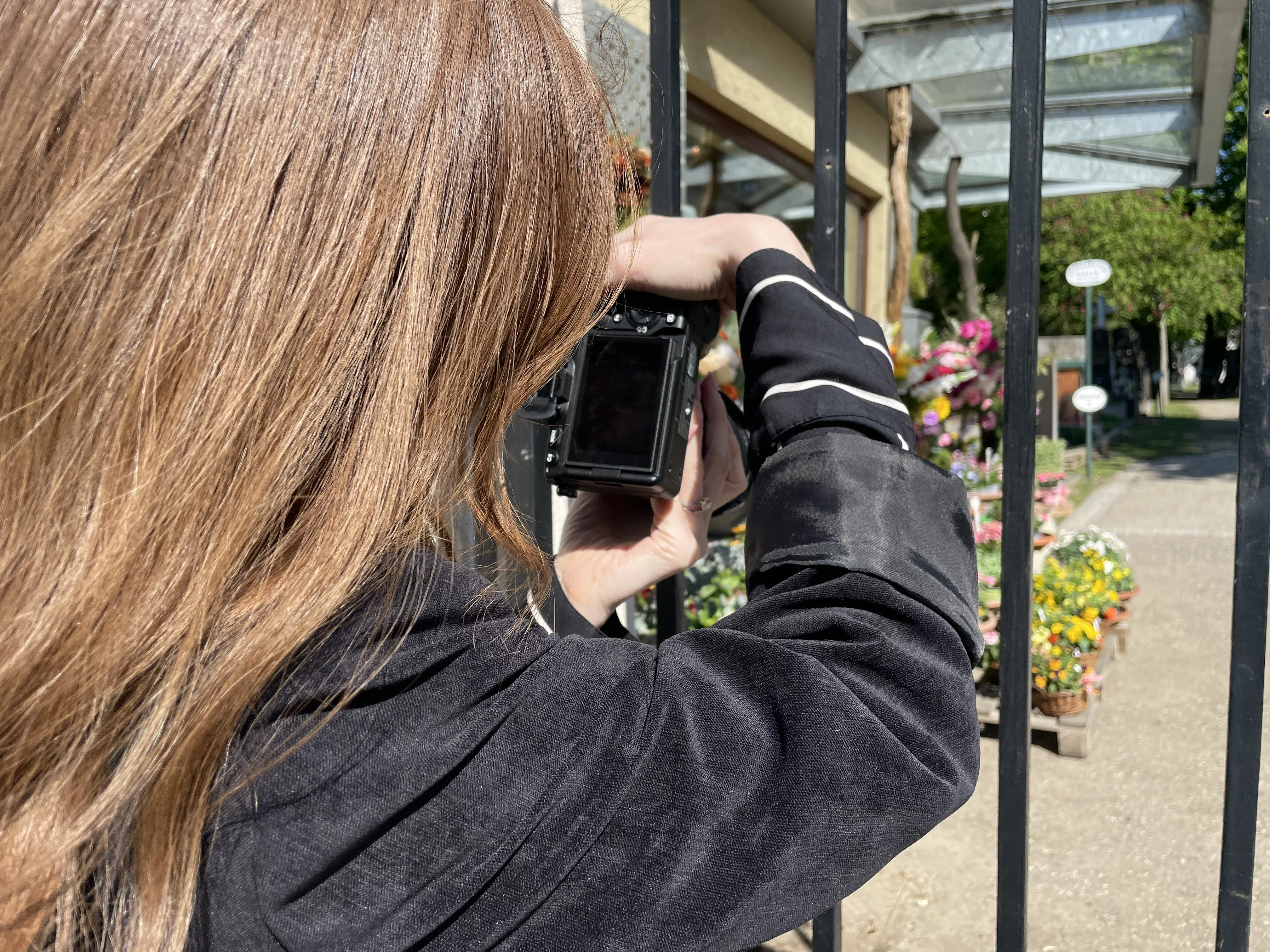Person photographing a flower stall through black metal bars on a sunny day.
