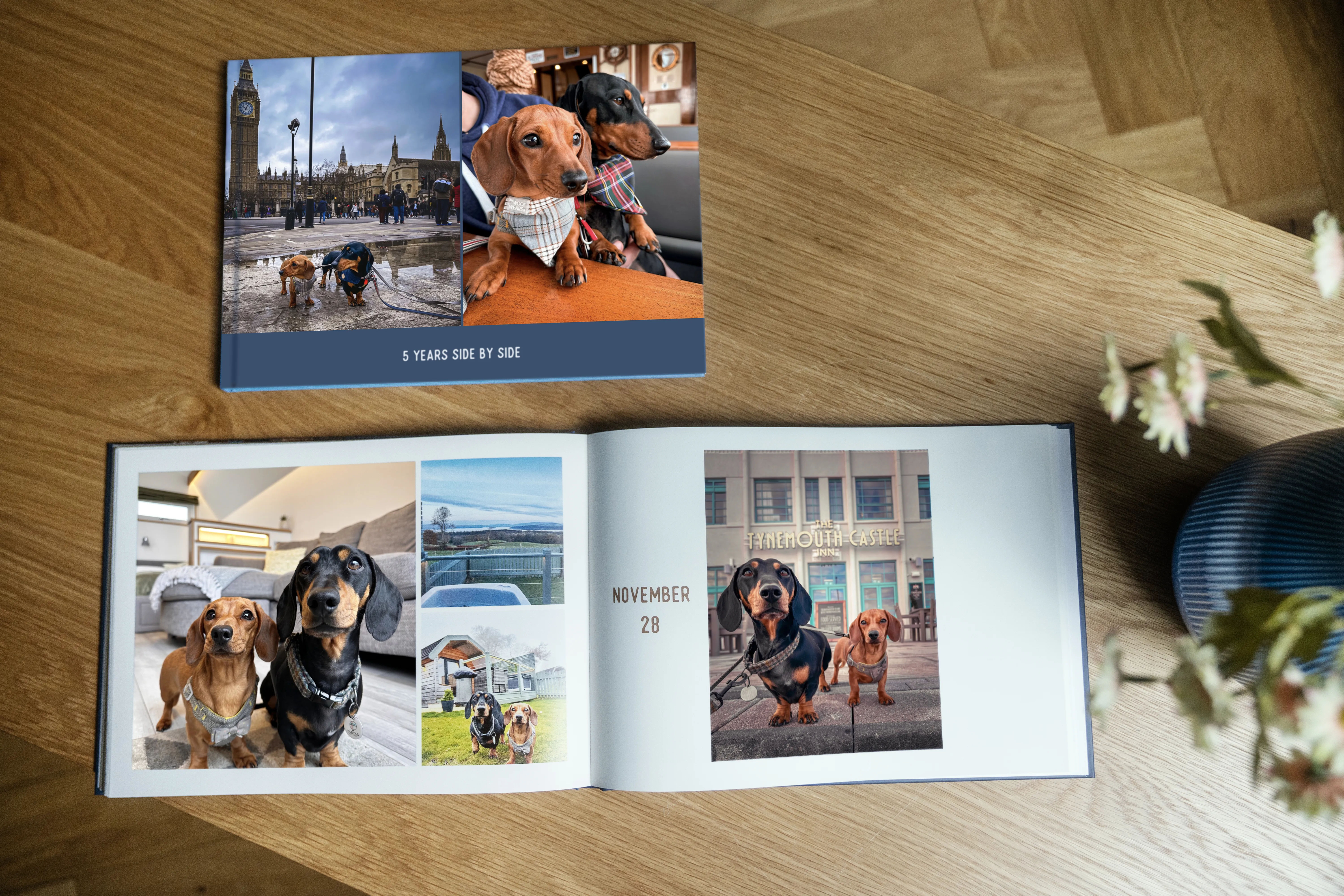 Create the Pet Photo Book your fur baby deserves: 10 creative ideas