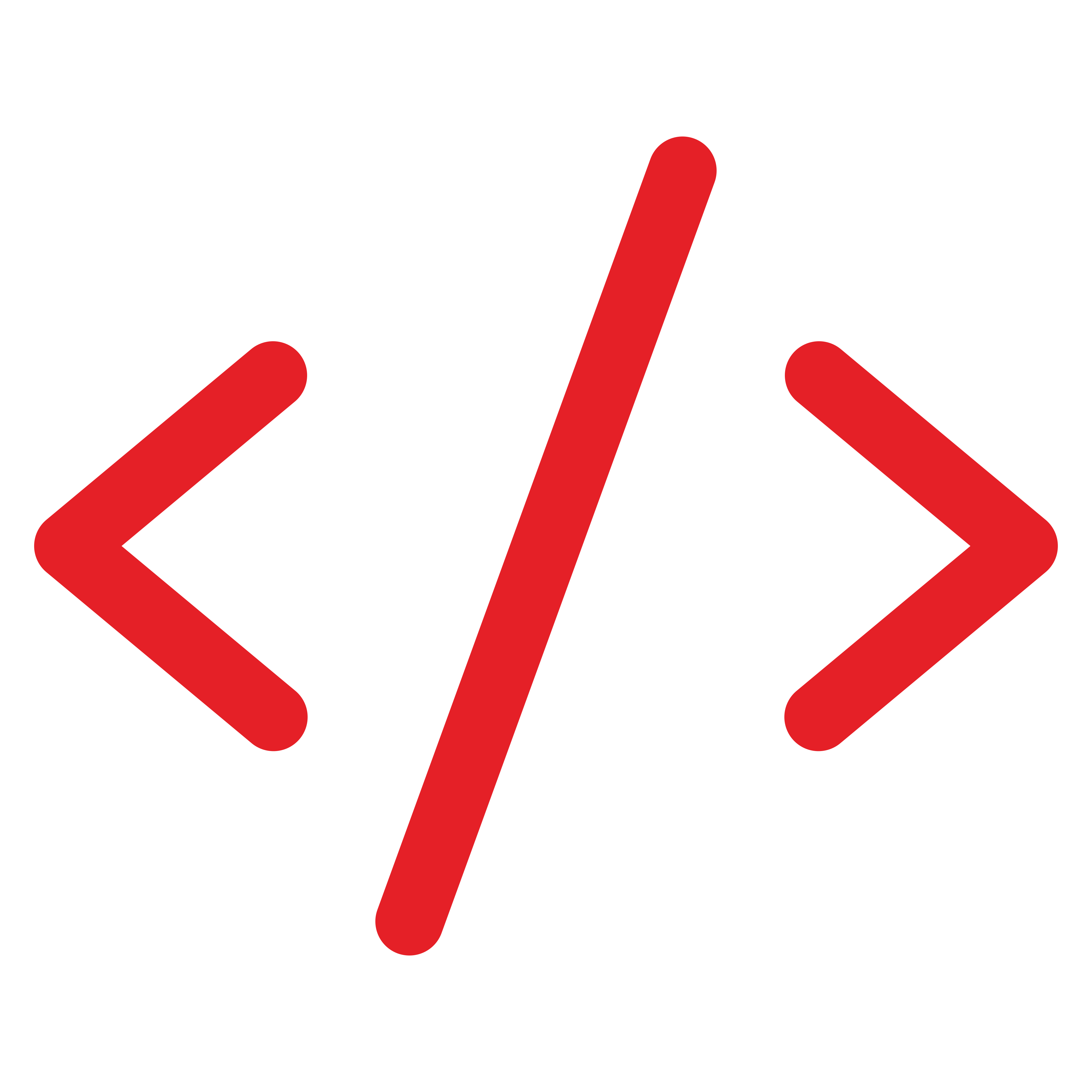 Code Icon