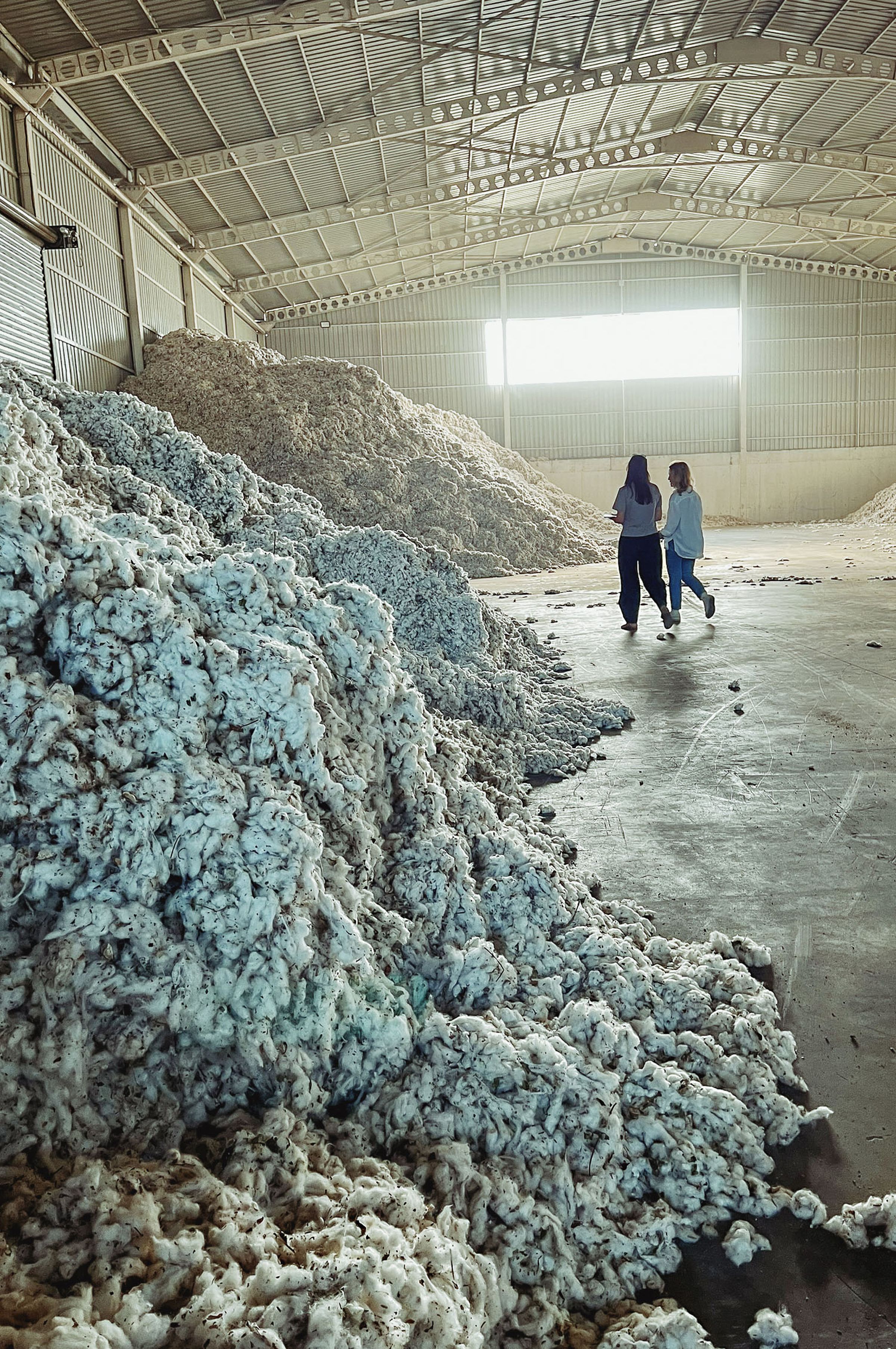 Two people walk in a large warehouse filled with piles of raw cotton under a high, arched ceiling.