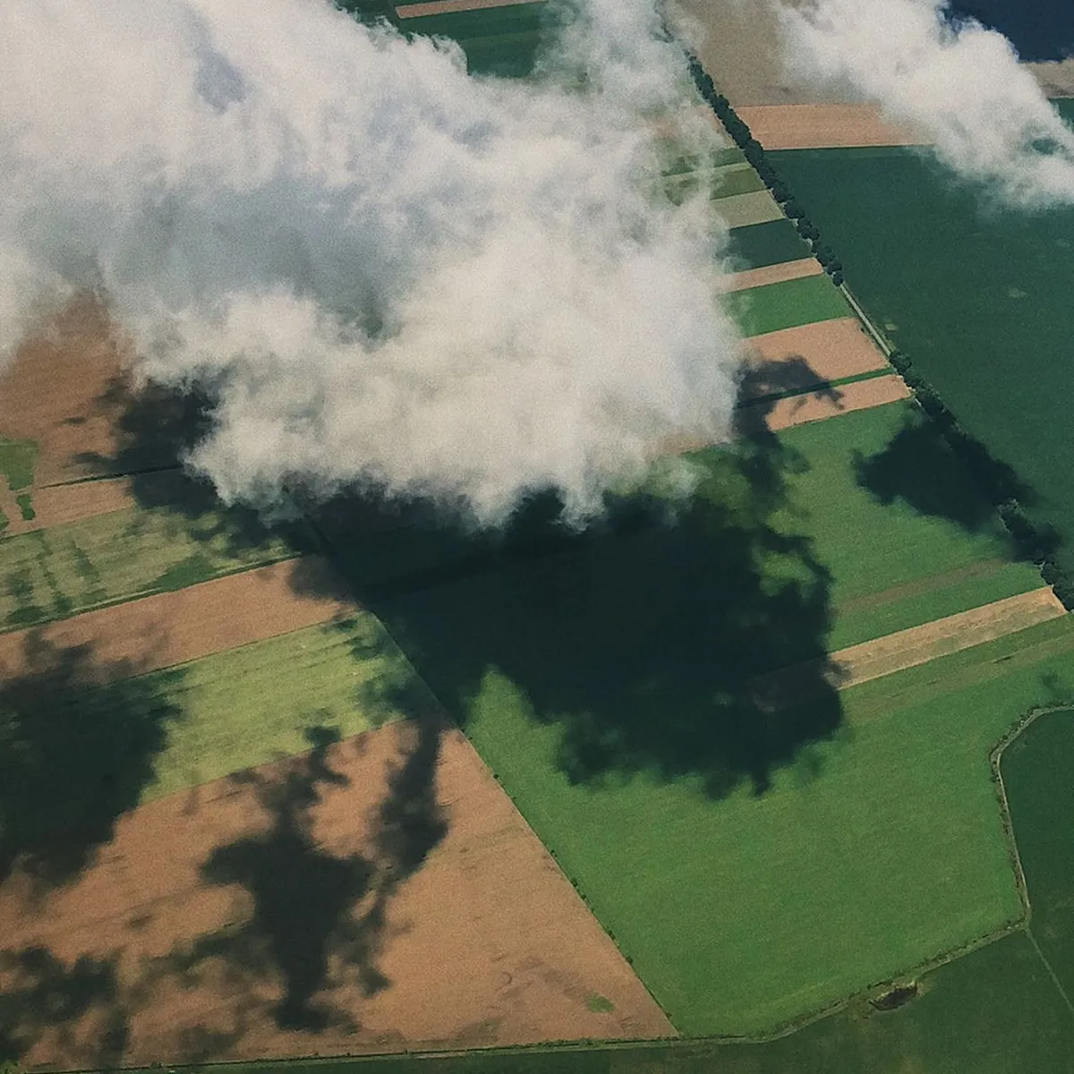 Birds eye view of fields with clouds floating over