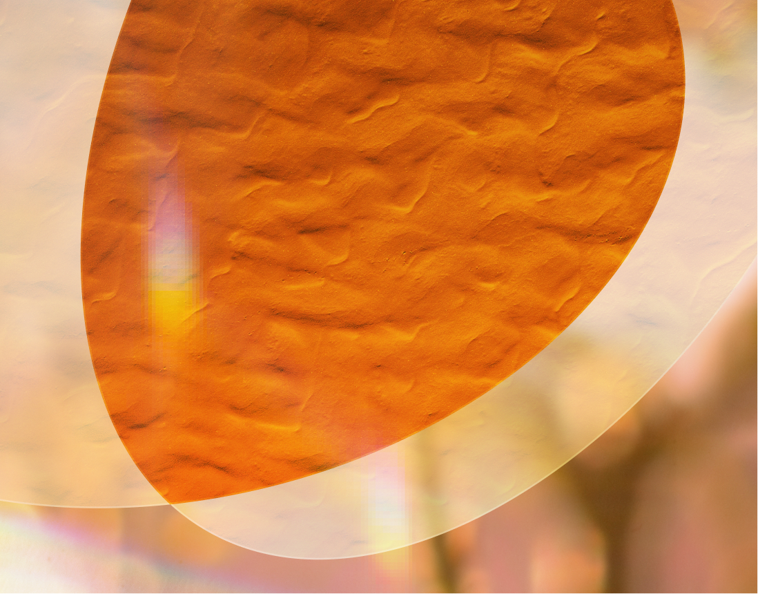 Abstract image with overlapping orange and beige textured ovals, featuring subtle color gradients and soft lighting effects.
