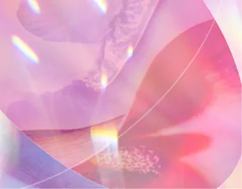 Abstract composition with soft pink and purple hues, featuring overlapping translucent shapes and subtle light refractions.