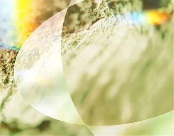 Abstract image with soft green and brown textures, overlaid with translucent, curved shapes and hints of rainbow colors.