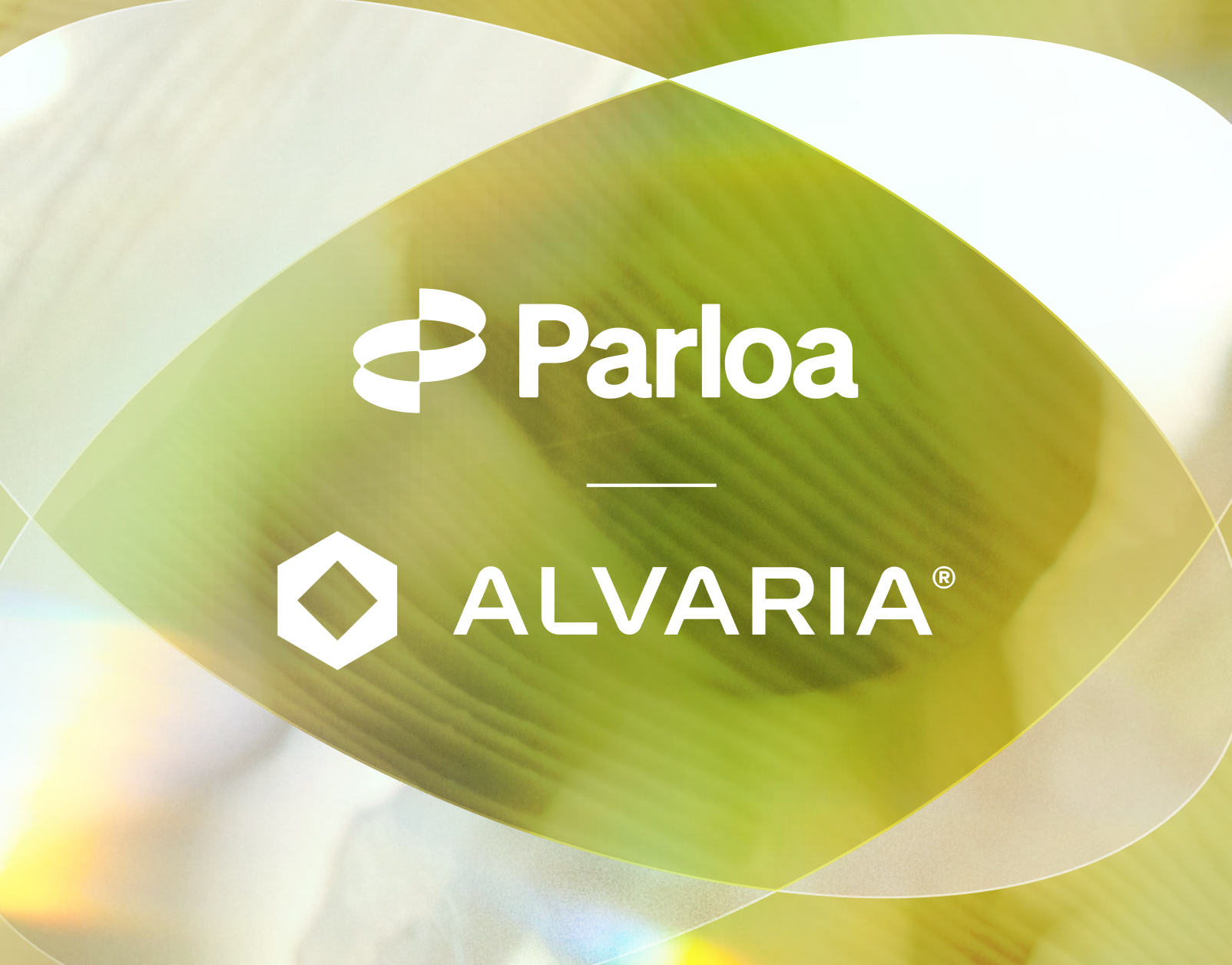 Logos of Parloa and Alvaria on a green and yellow abstract background. Parloa's logo at the top, Alvaria's with a hexagon icon at the bottom.