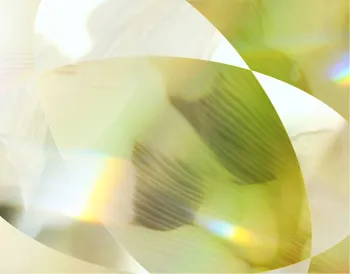 Abstract image with overlapping translucent yellow and beige shapes, featuring subtle rainbow reflections and soft, flowing textures.
