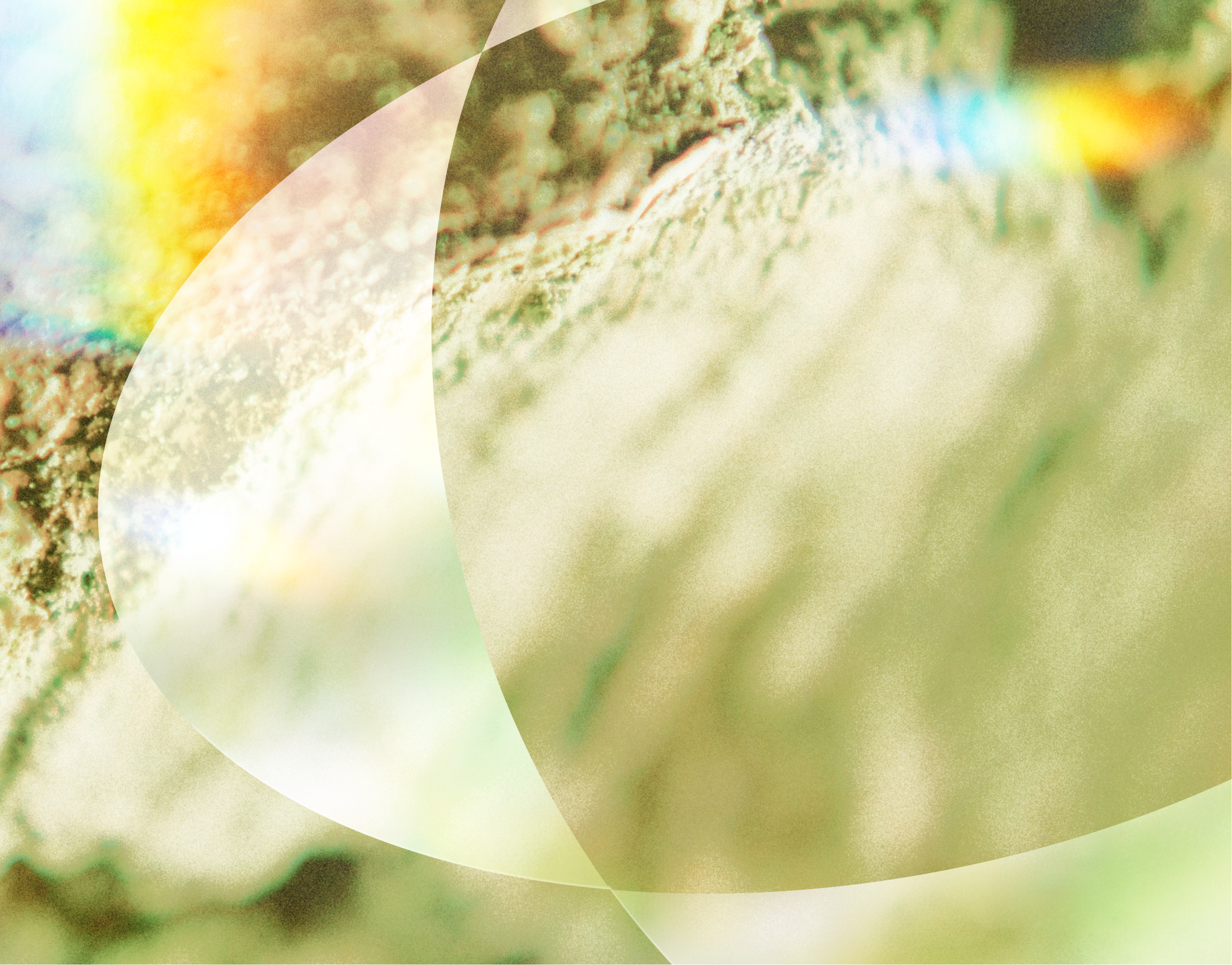 Abstract image with soft green and brown textures, intersecting translucent shapes, and subtle rainbow hues.