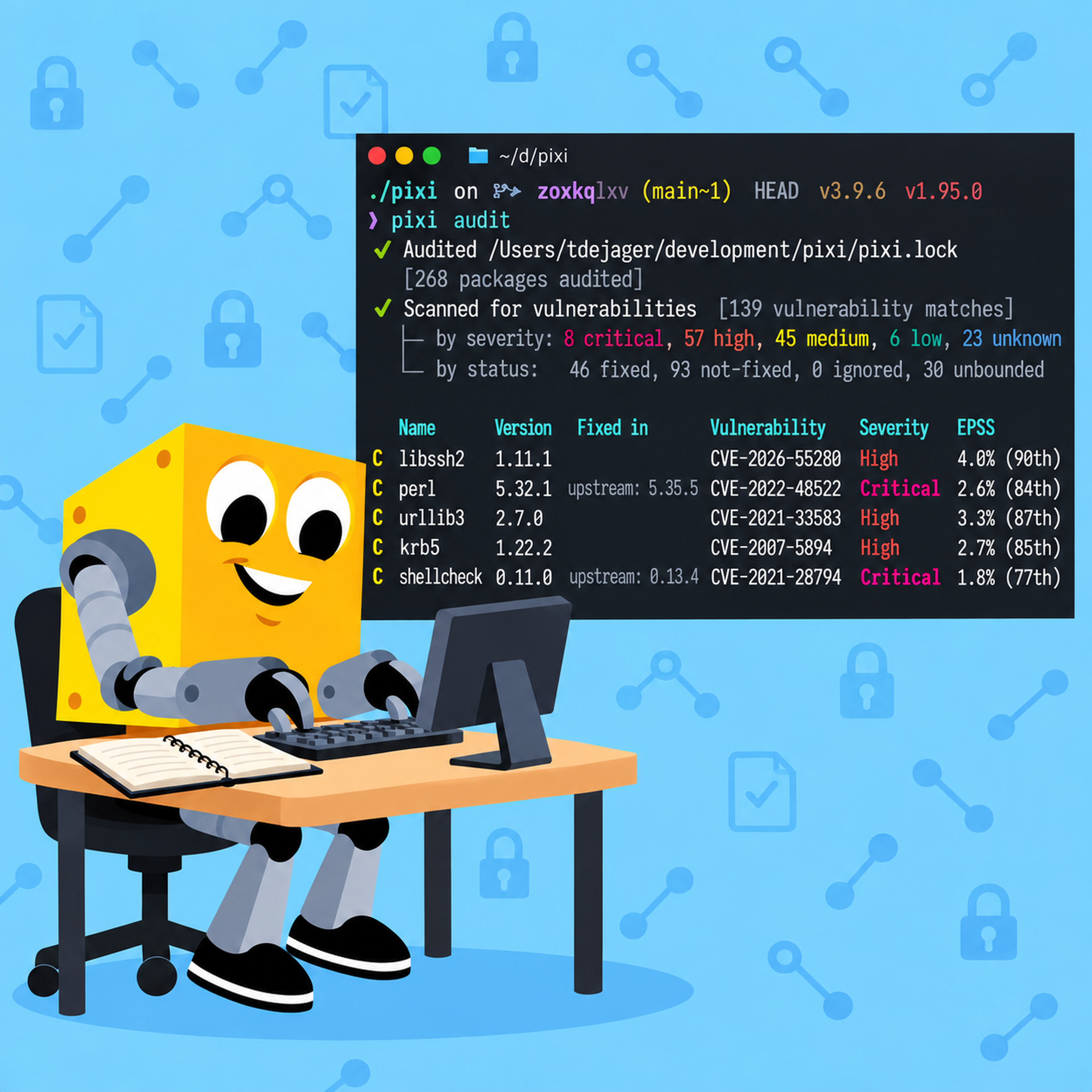 Cover image for Introducing the Pixi Audit Beta