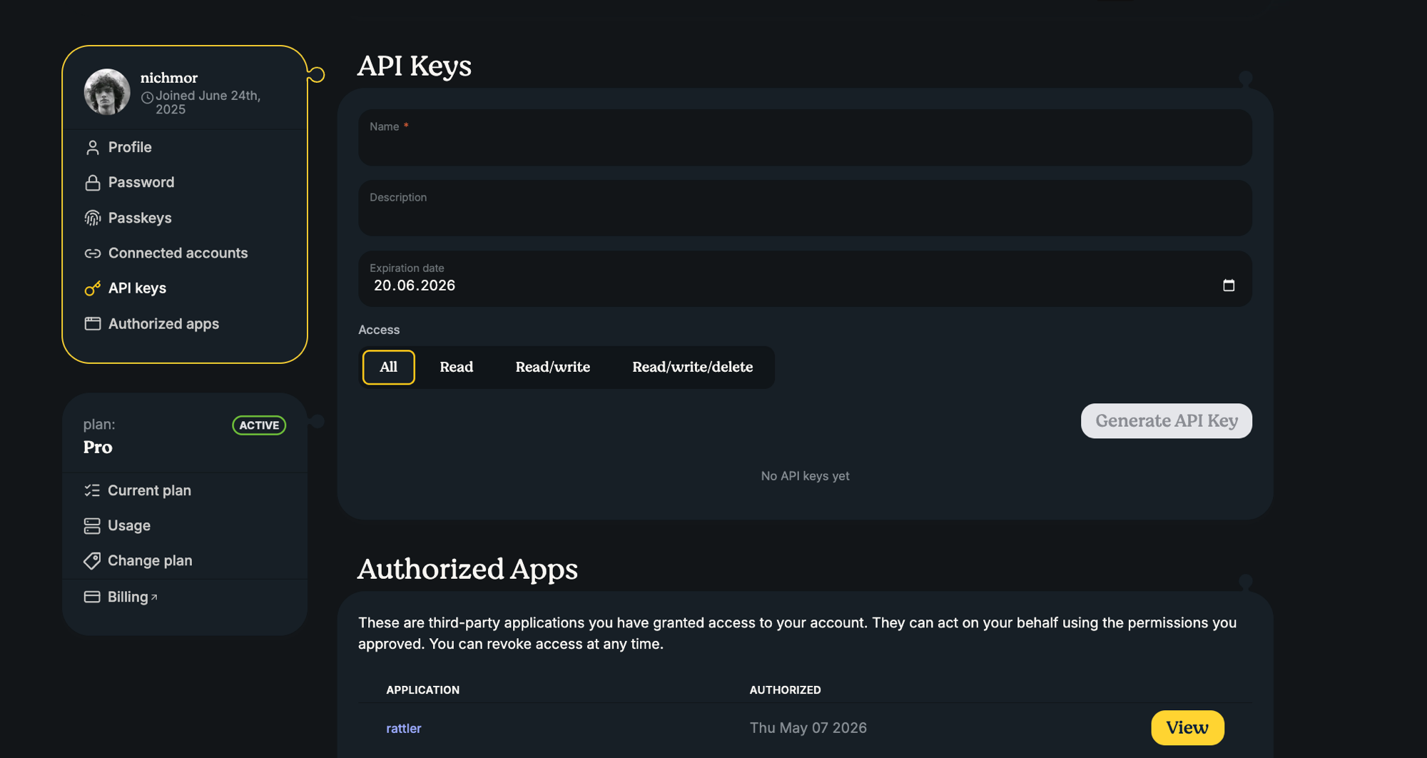 API Key UI