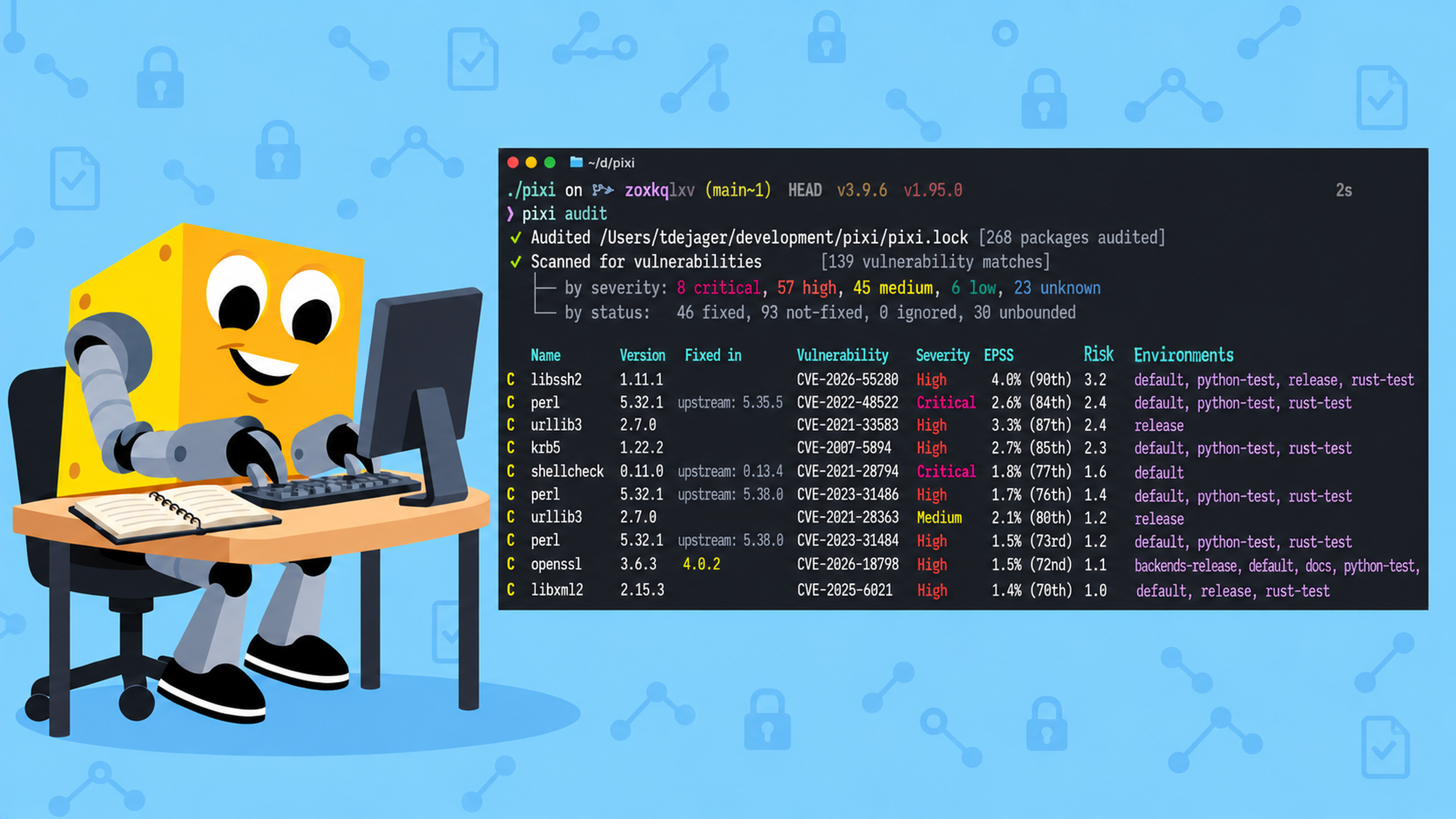 Cover image for Introducing the Pixi Audit Beta