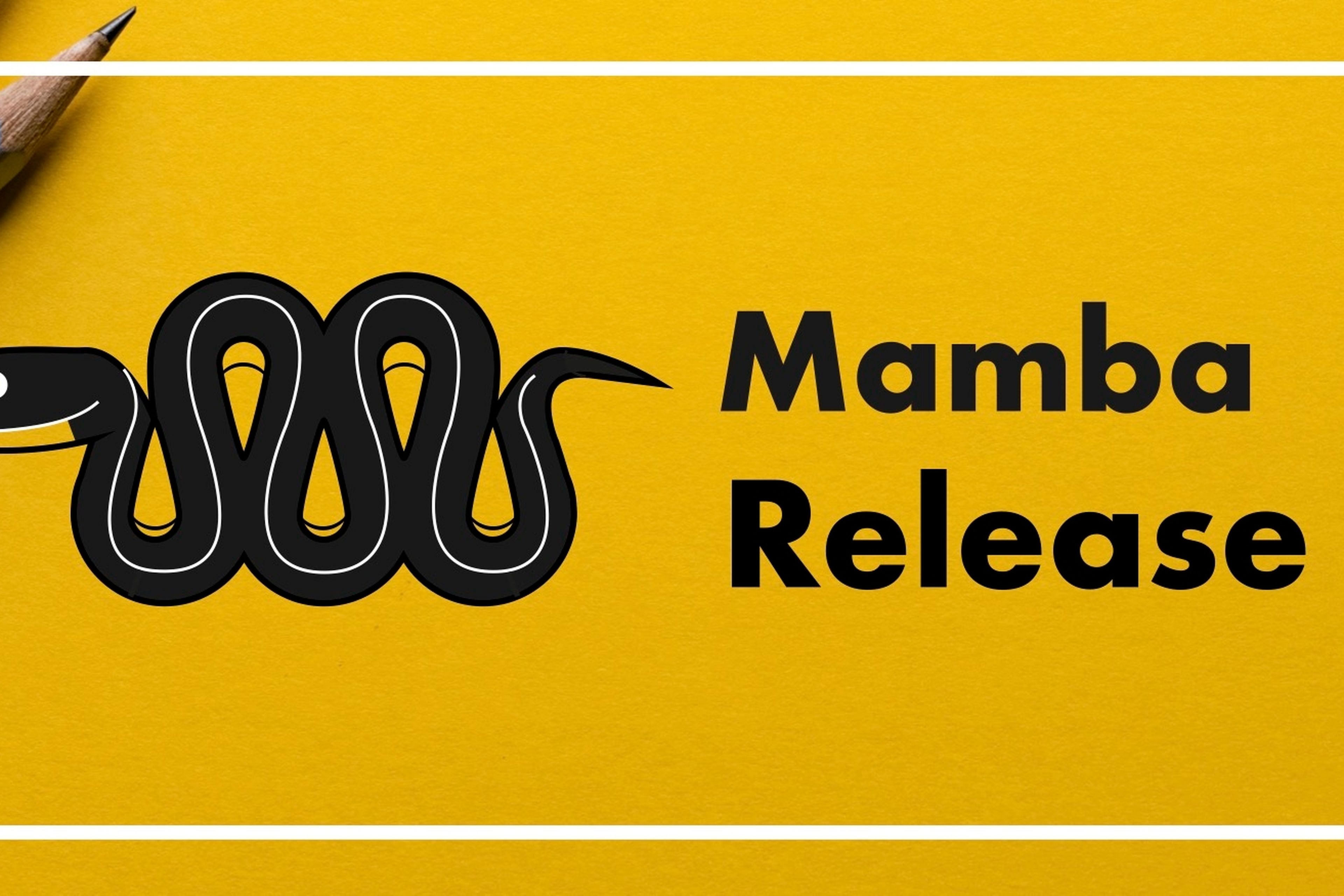 Cover image for Mamba 1.2 Release