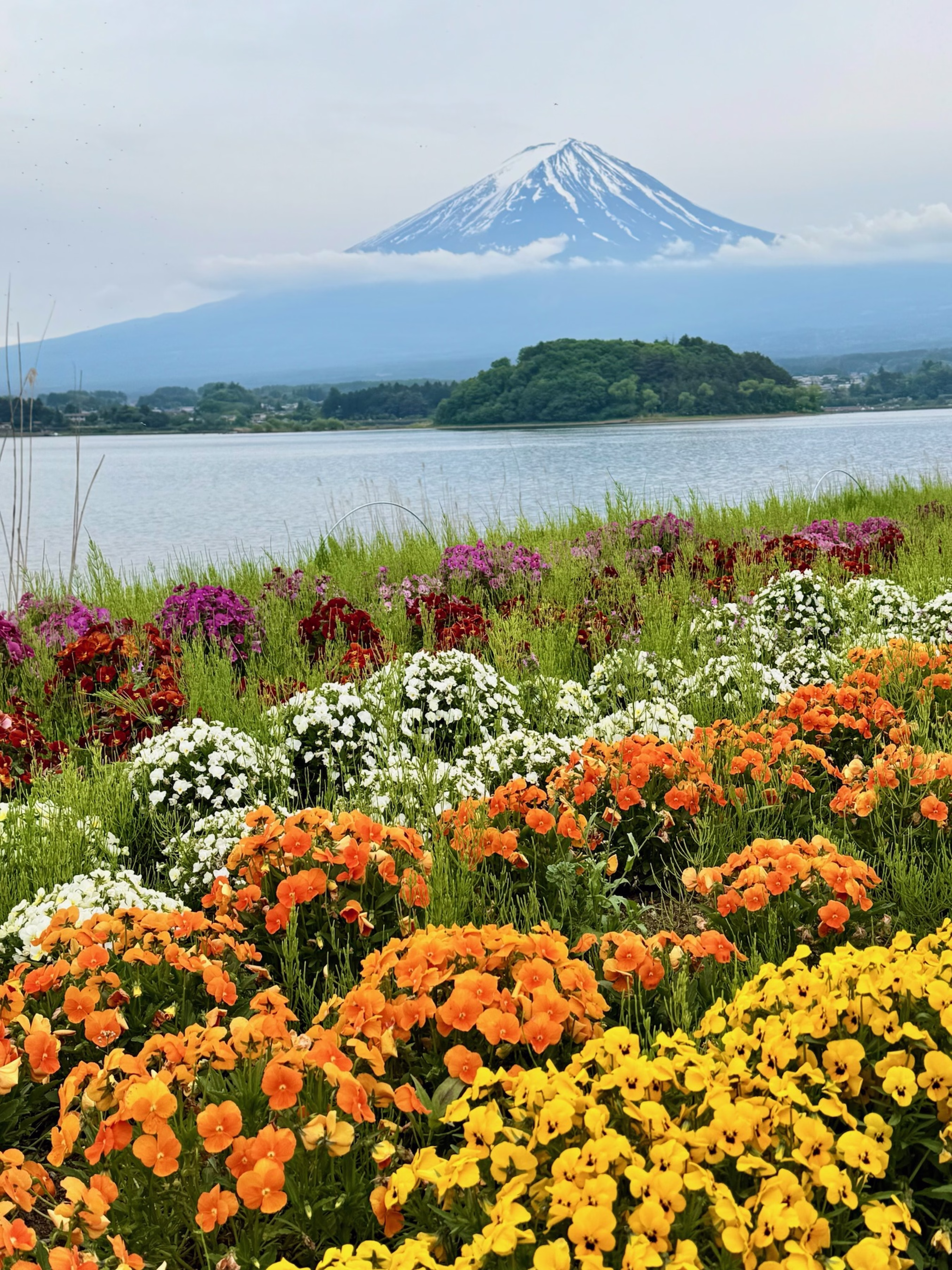 japanreise-2025-fuji