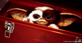 Artikel Gremlins 3: Teaser zeigt Grizmo-Rückkehr und neuen Kinostart