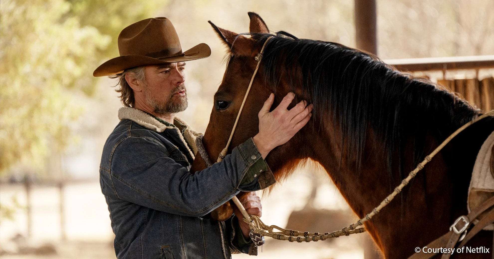 Ransom Canyon: Netflix bestellt weitere Staffel der starbesetzten ...